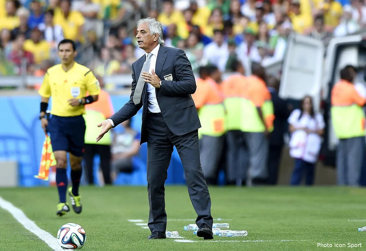 riolo envoie a la casse l algerie du sinistre coach vadid iconsport pho 170614 05 3485469