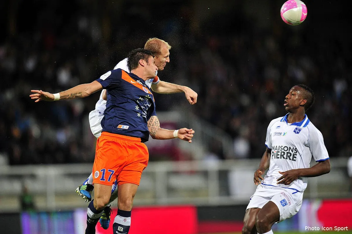 sacre champion de france montpellier est tout simplement aux anges iconsport noe 200512 44 4935257