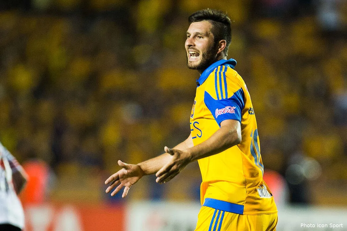 tigres gignac aussi intouchable que cristiano ronaldo et messi gignac 23161852