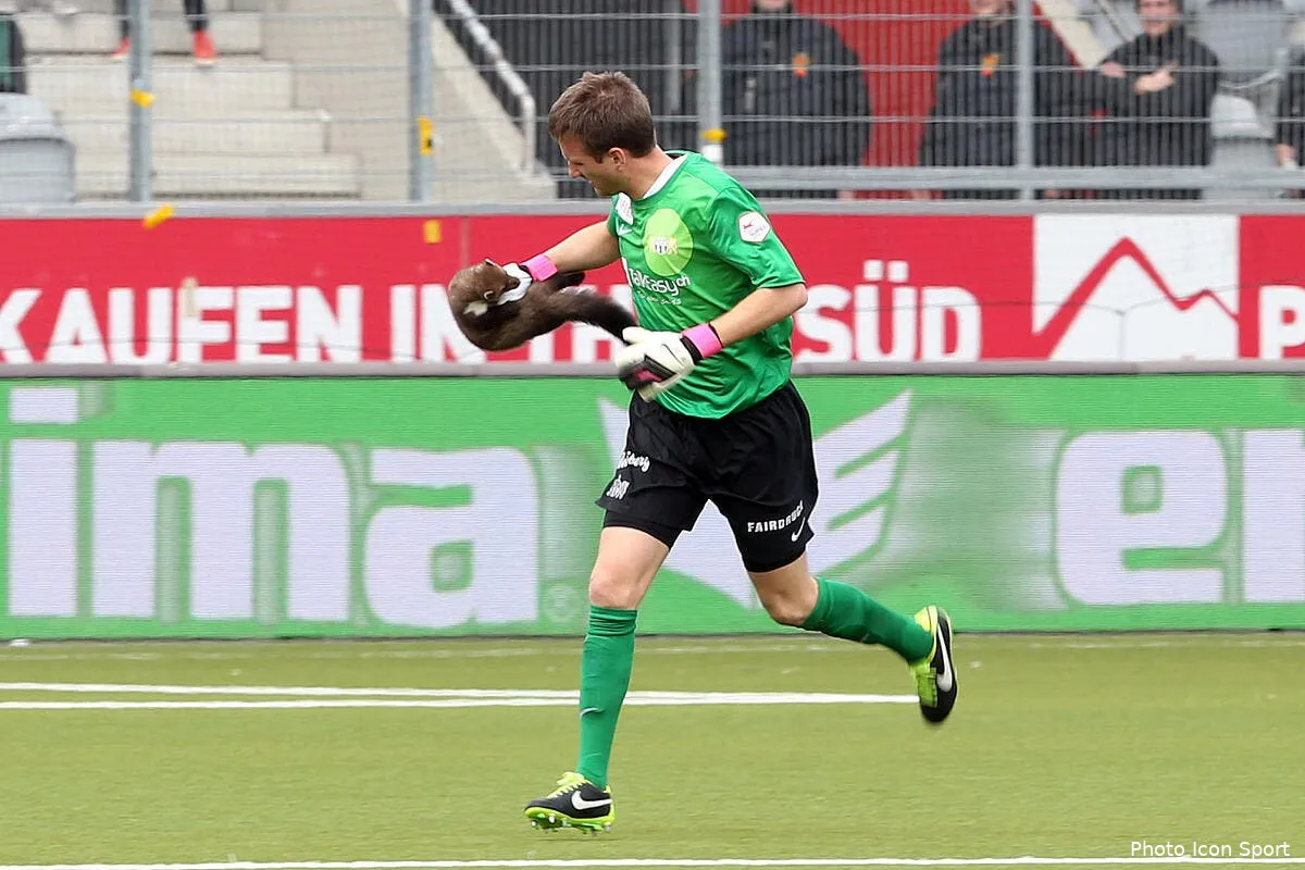 video plus penible que le chat le furet qui pourrit un match de foot iconsport cit 100313 01 1352139