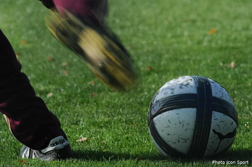 video quand un joueur confond une chouette avec le ballon 67897 16115