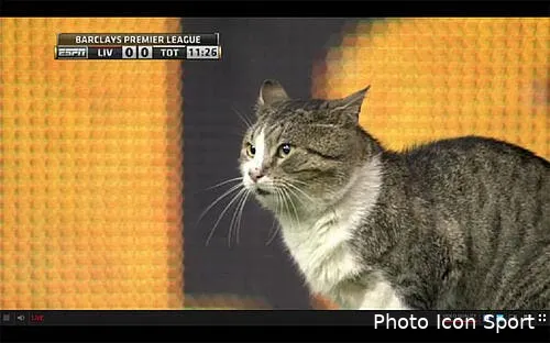 video un chat superstar de liverpool tottenham h3mjmrrj tw130838