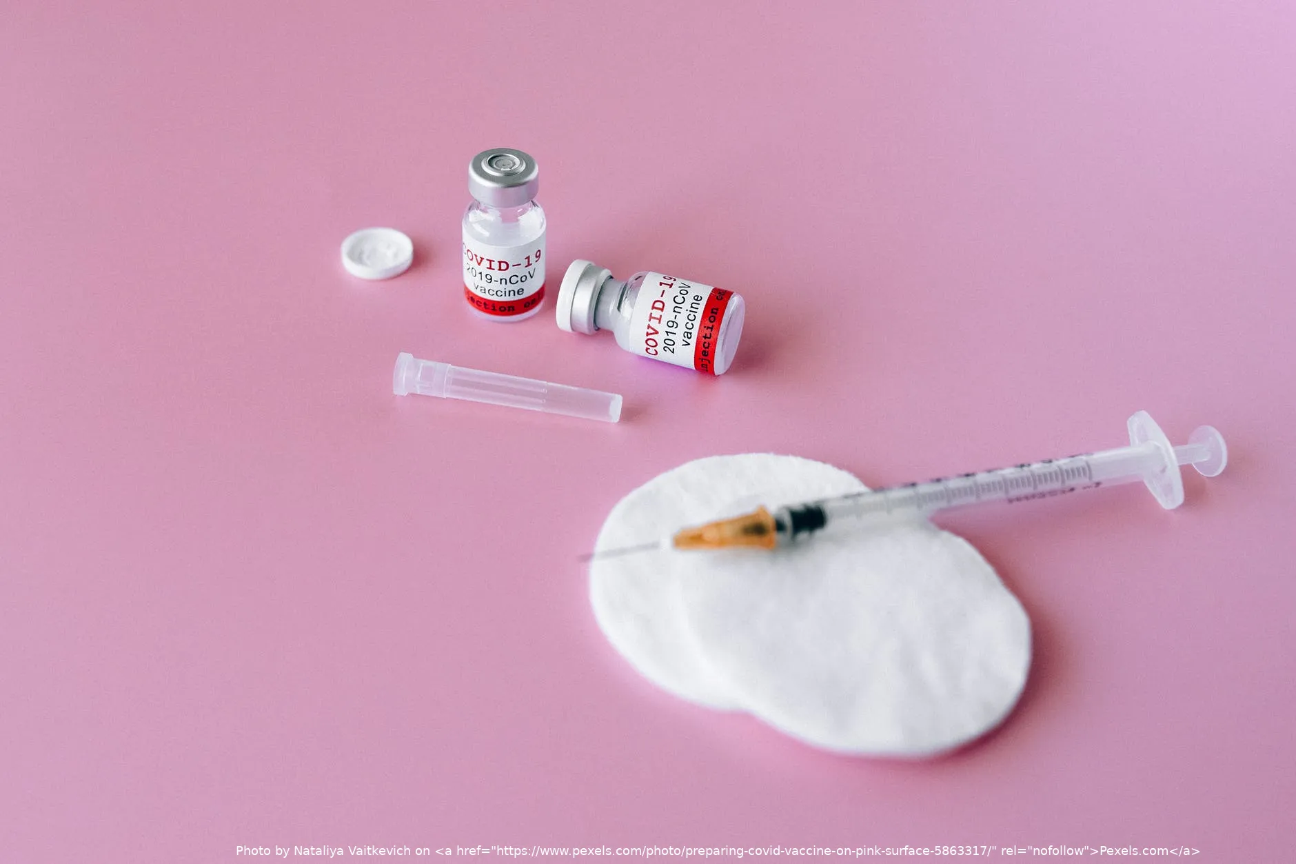 pexels photo 5863317