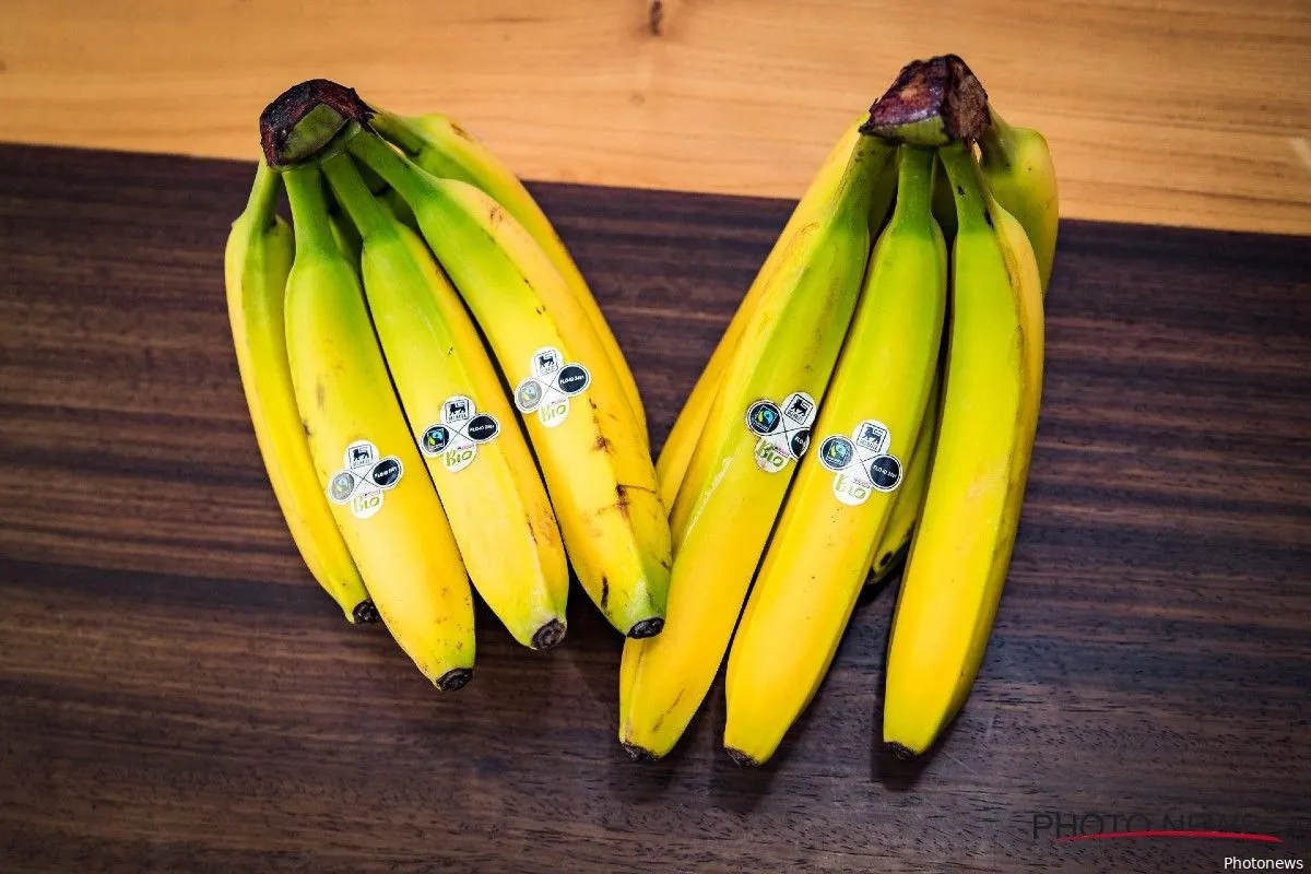 241005bananen