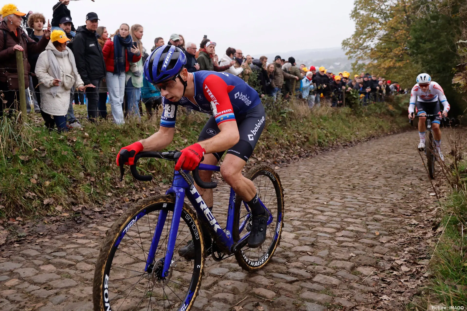 larsvanderhaar 2