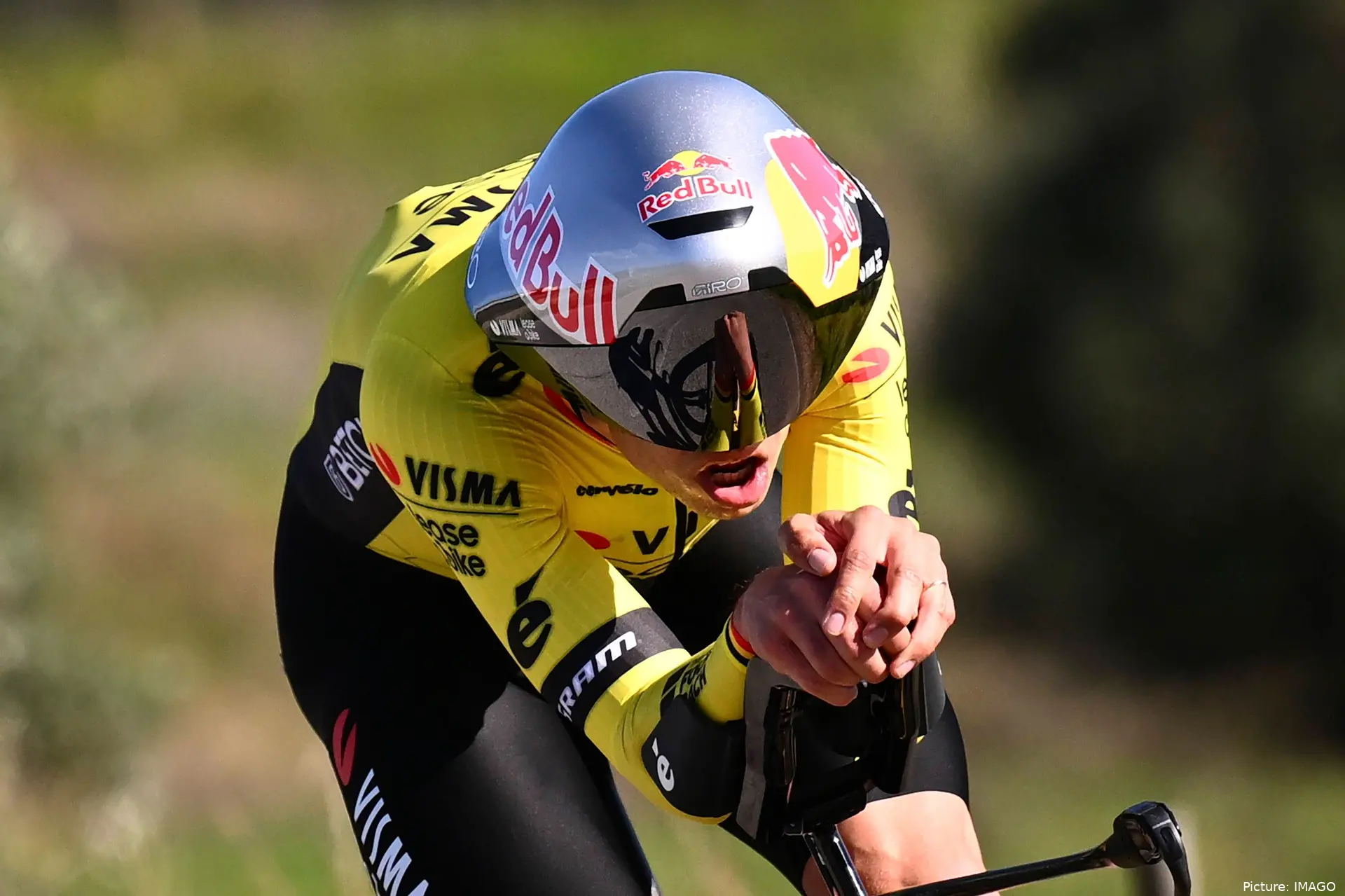 woutvanaert