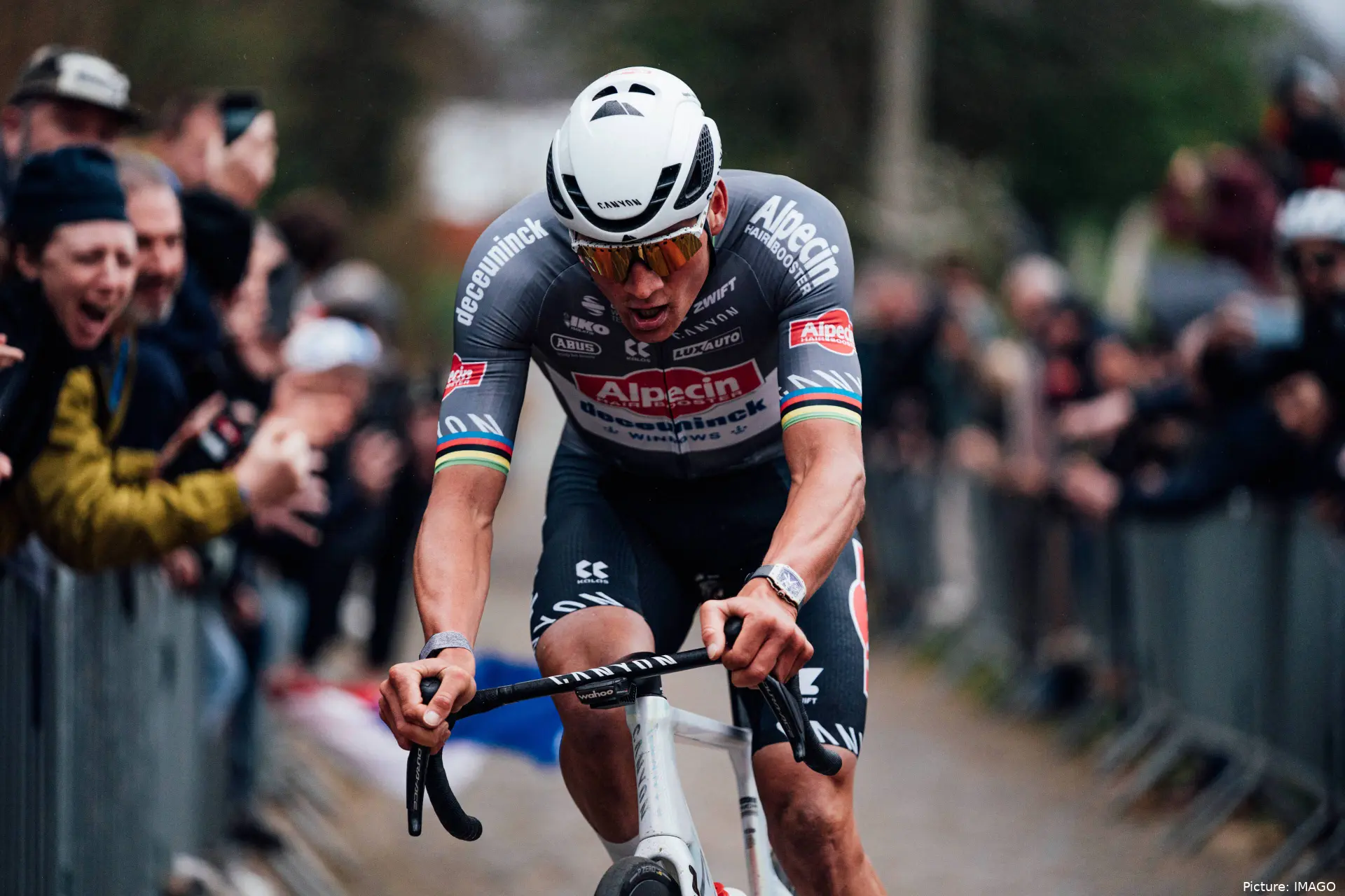 van der poel imago1060343190