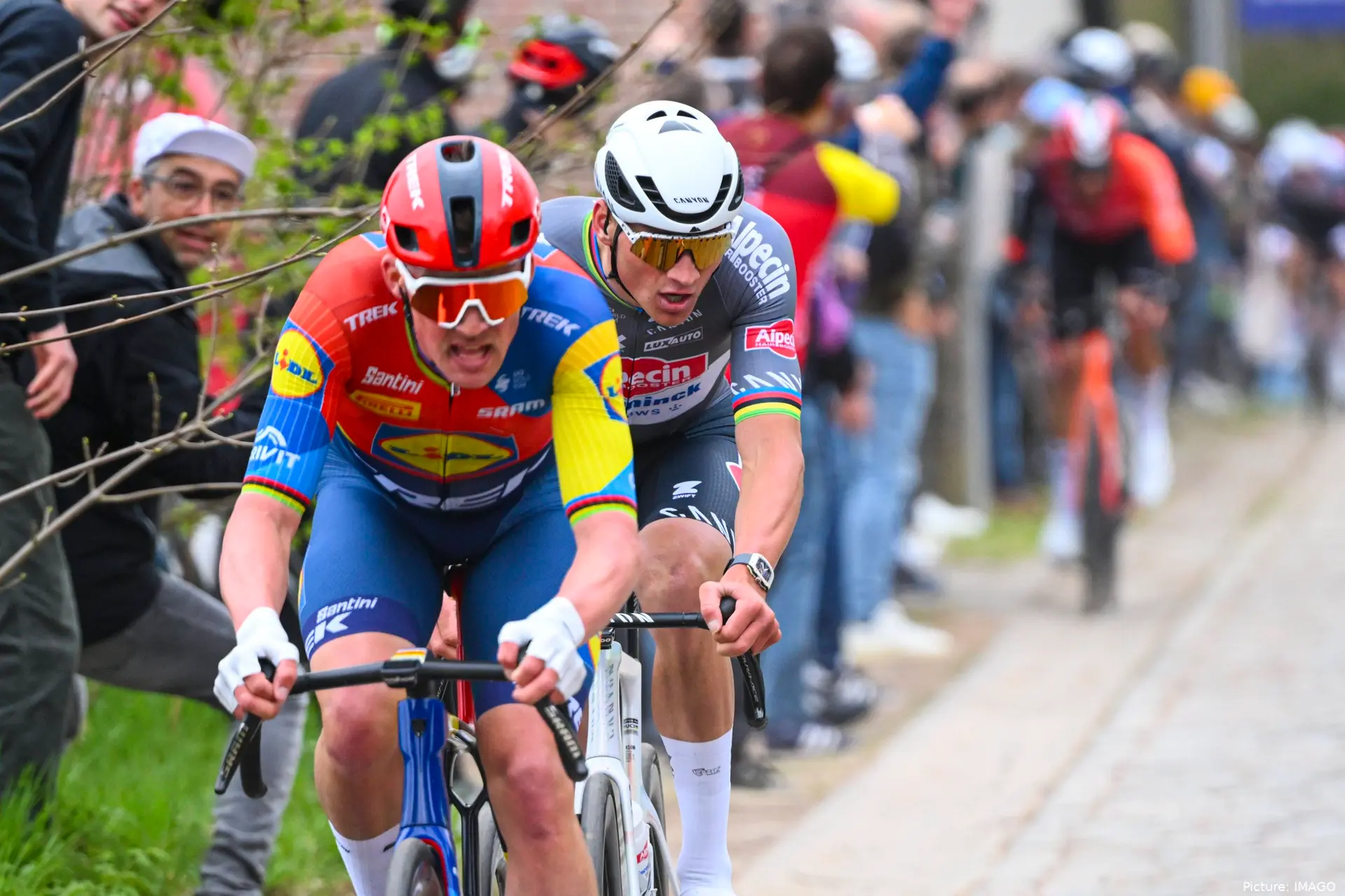 Mads Pedersen, junto a Mathieu van der Poel