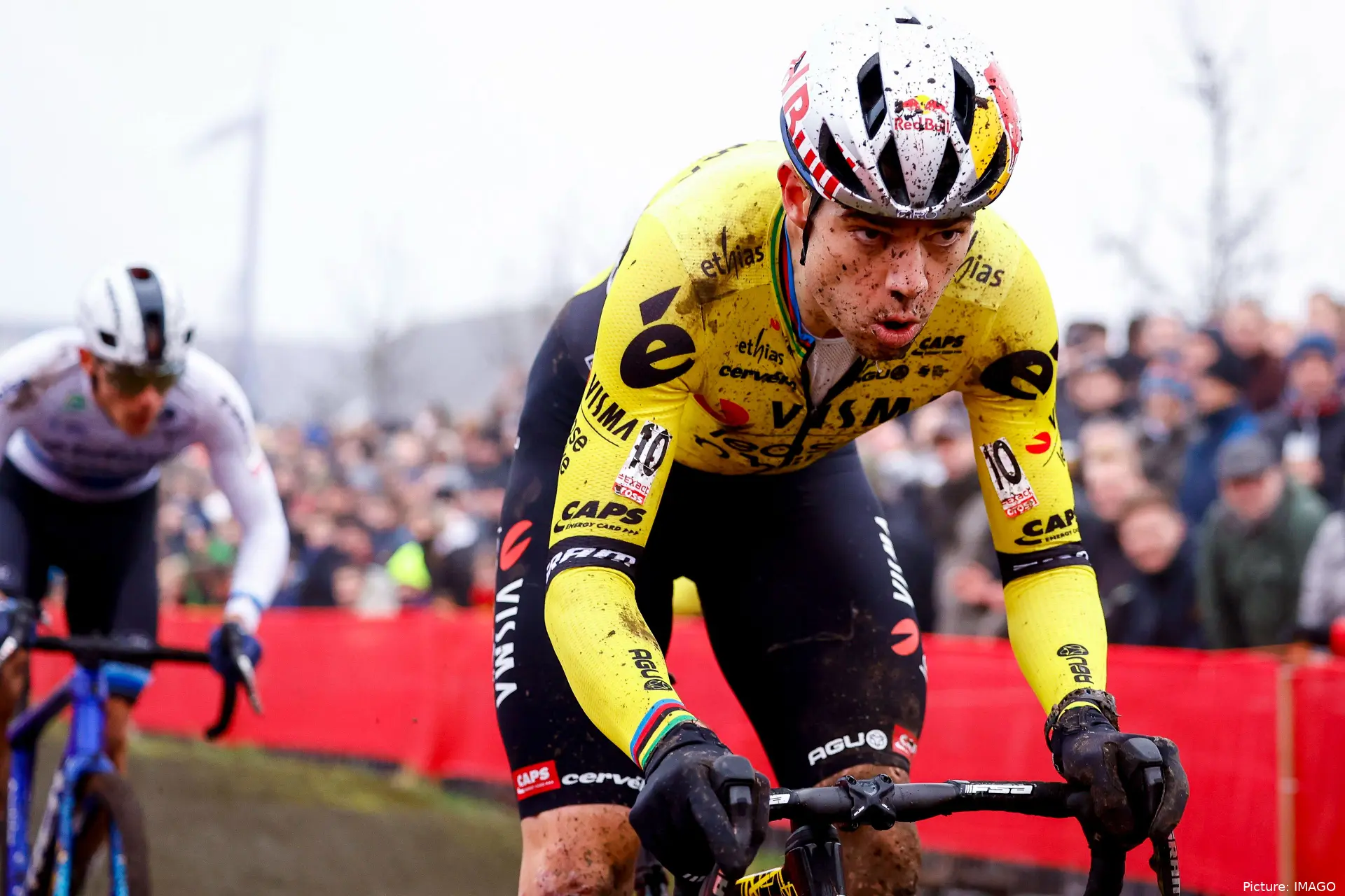 woutvanaert 3