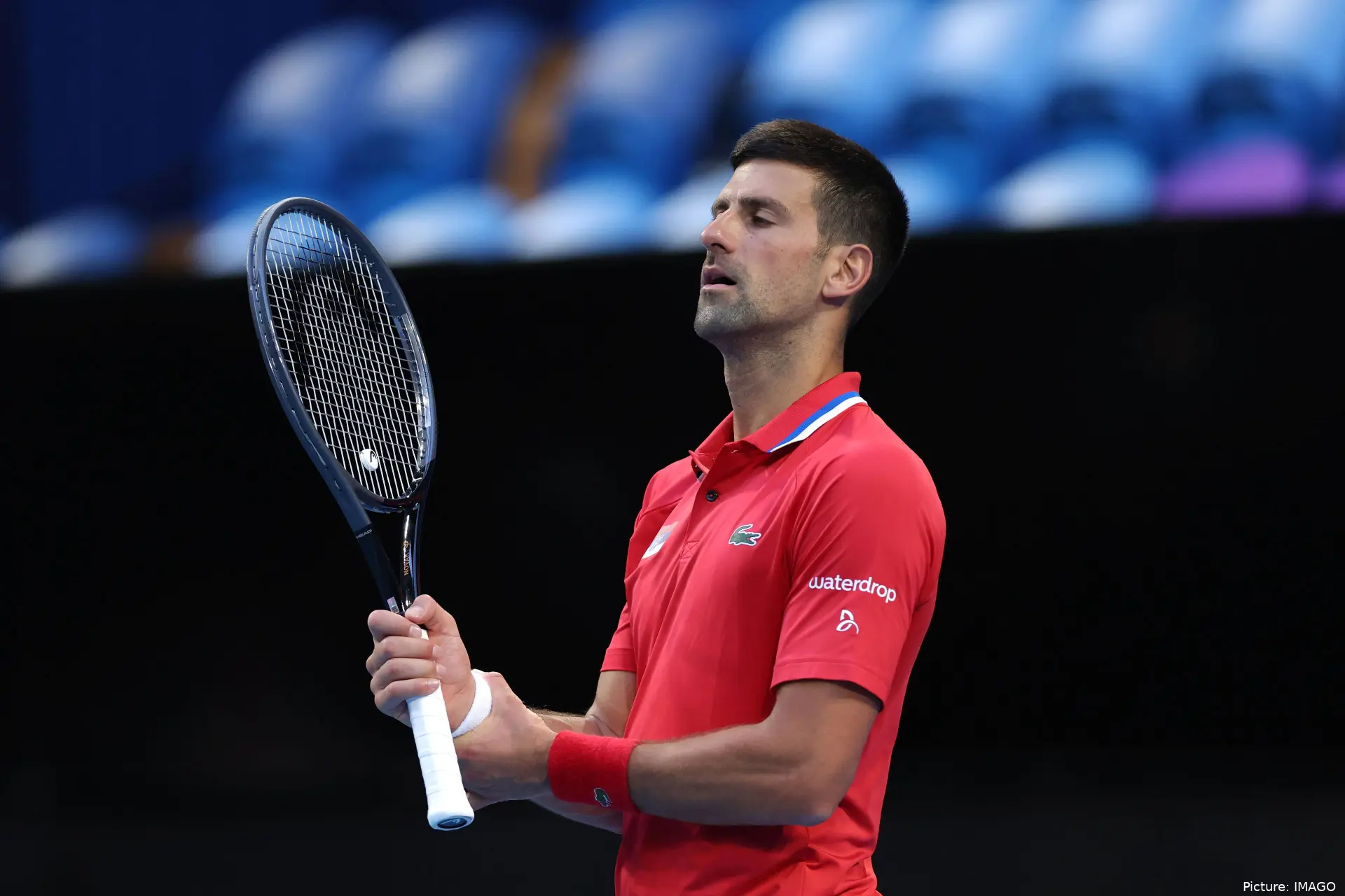 djokovicucaus imago1038535913h 6595899f606ca