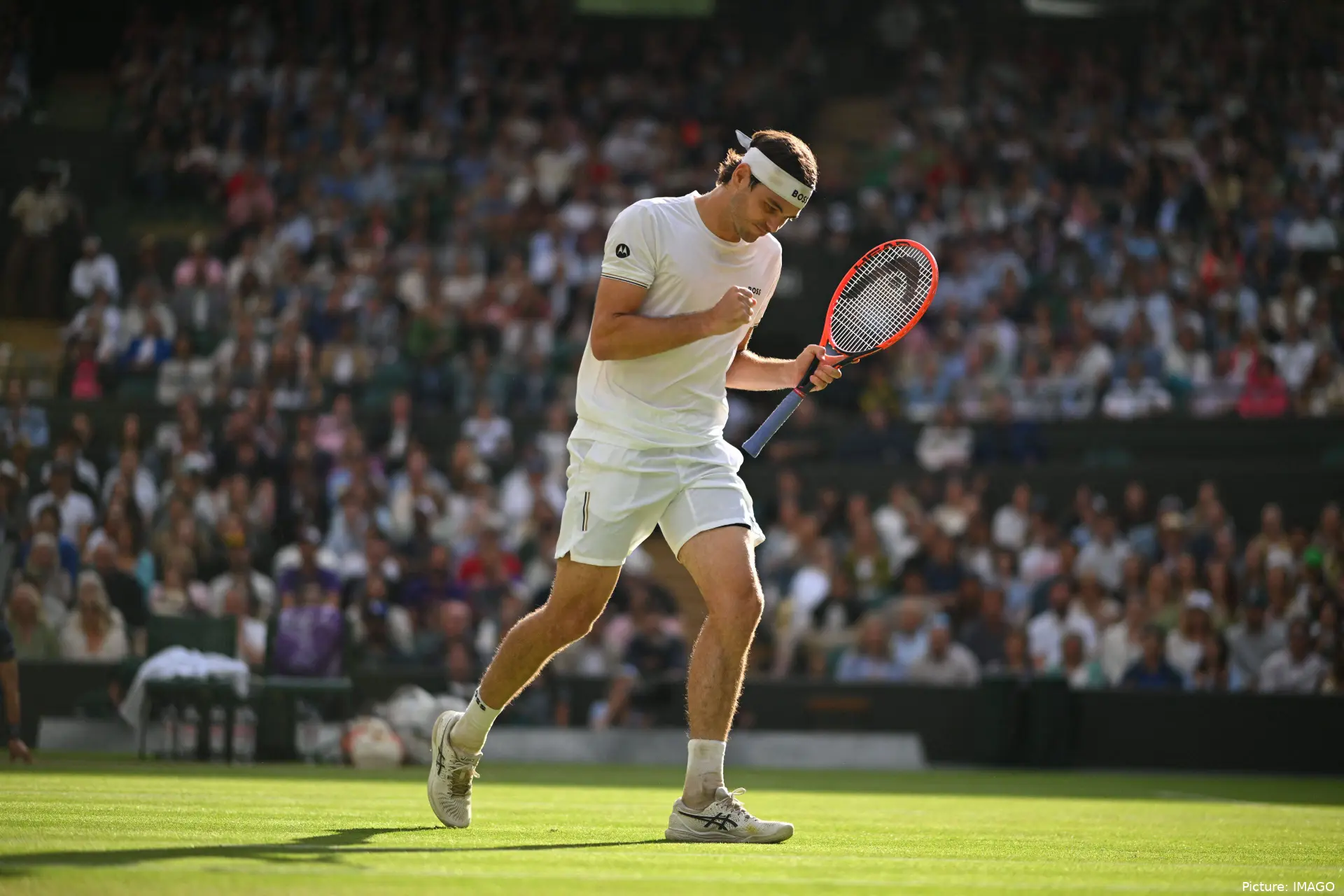 fritzwimbledon