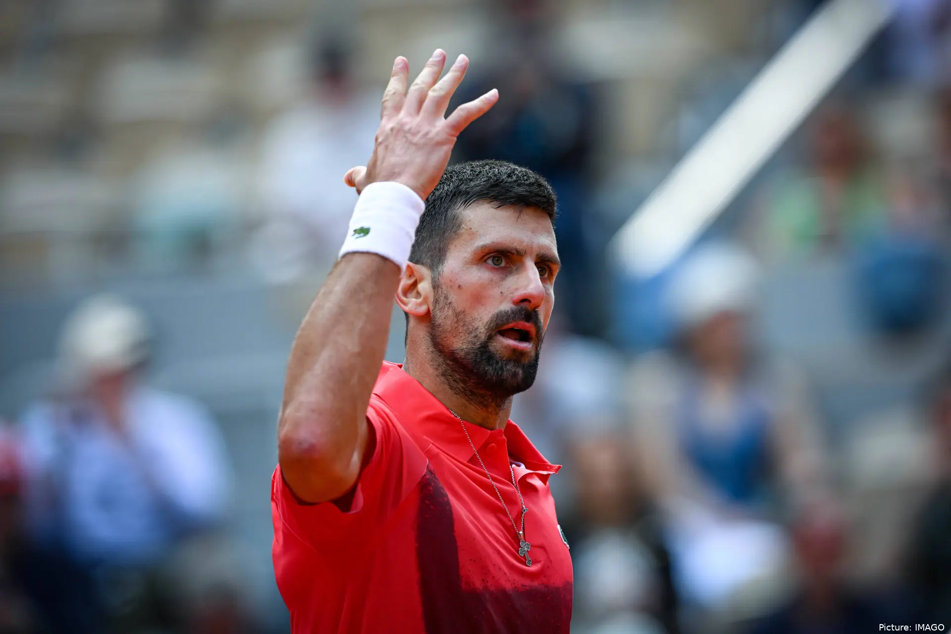 Novak Djokovic lifting his arm in passion