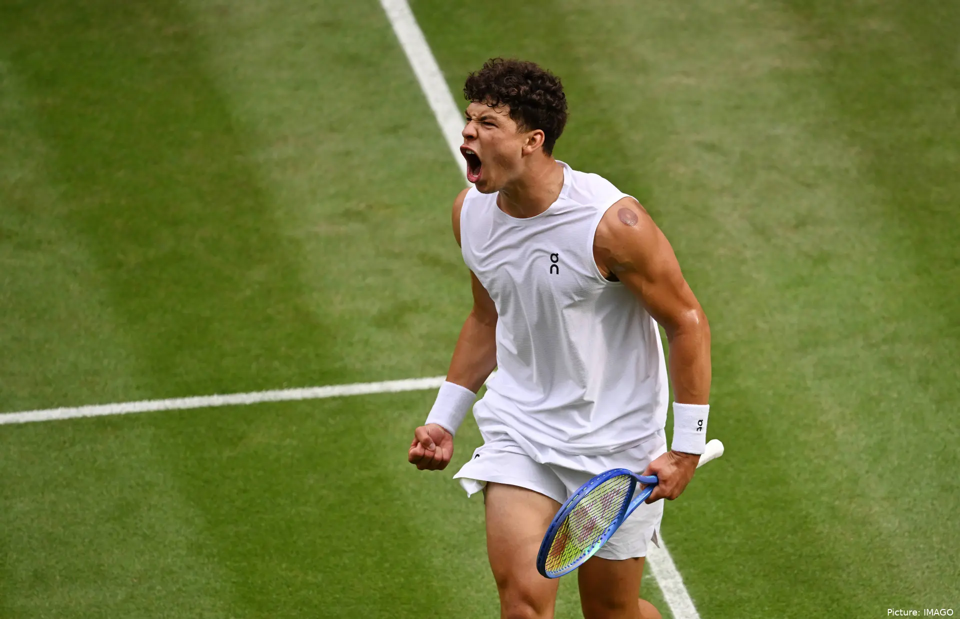 sheltonwimbledon