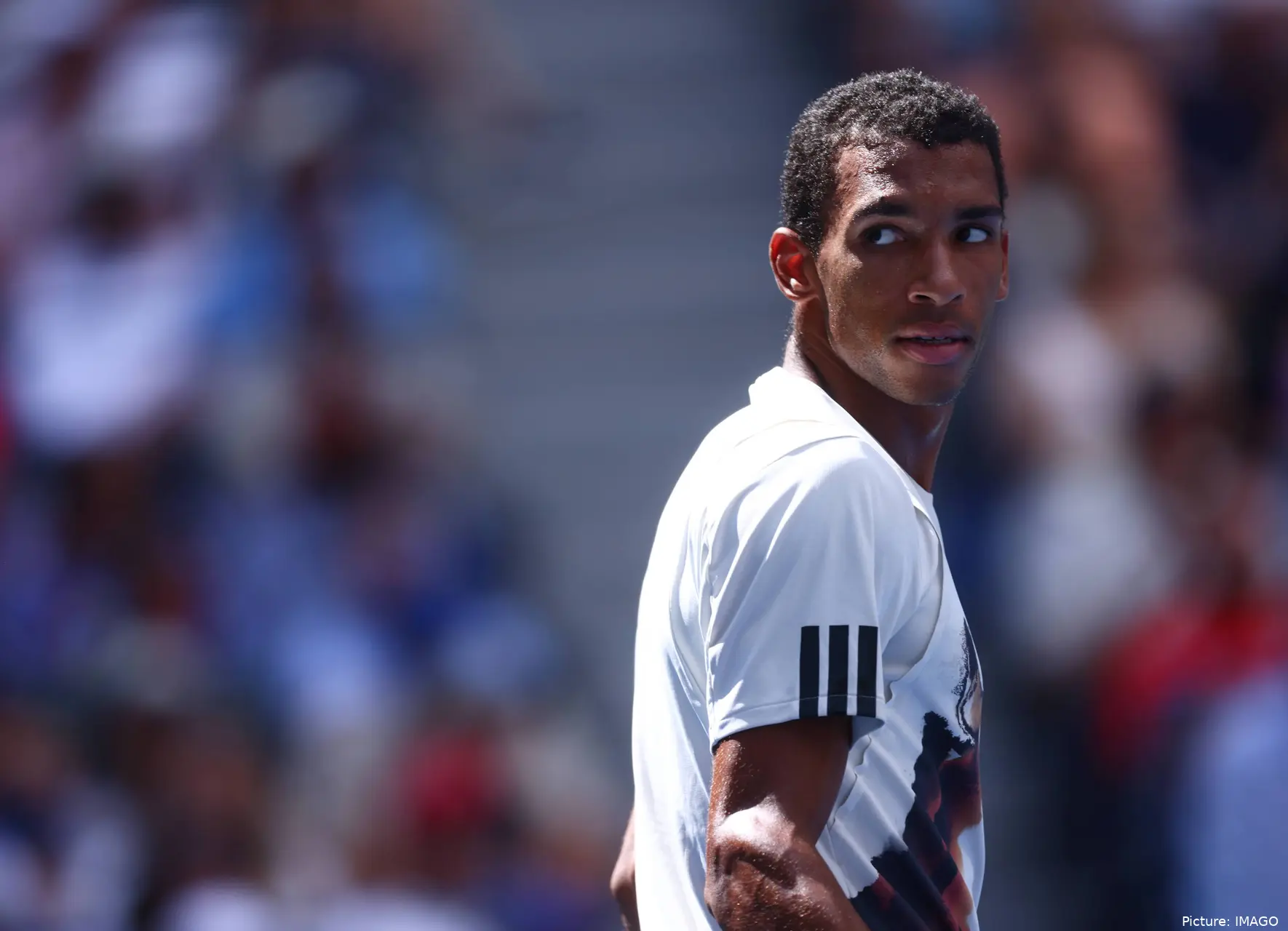 augeraliassimeusopen
