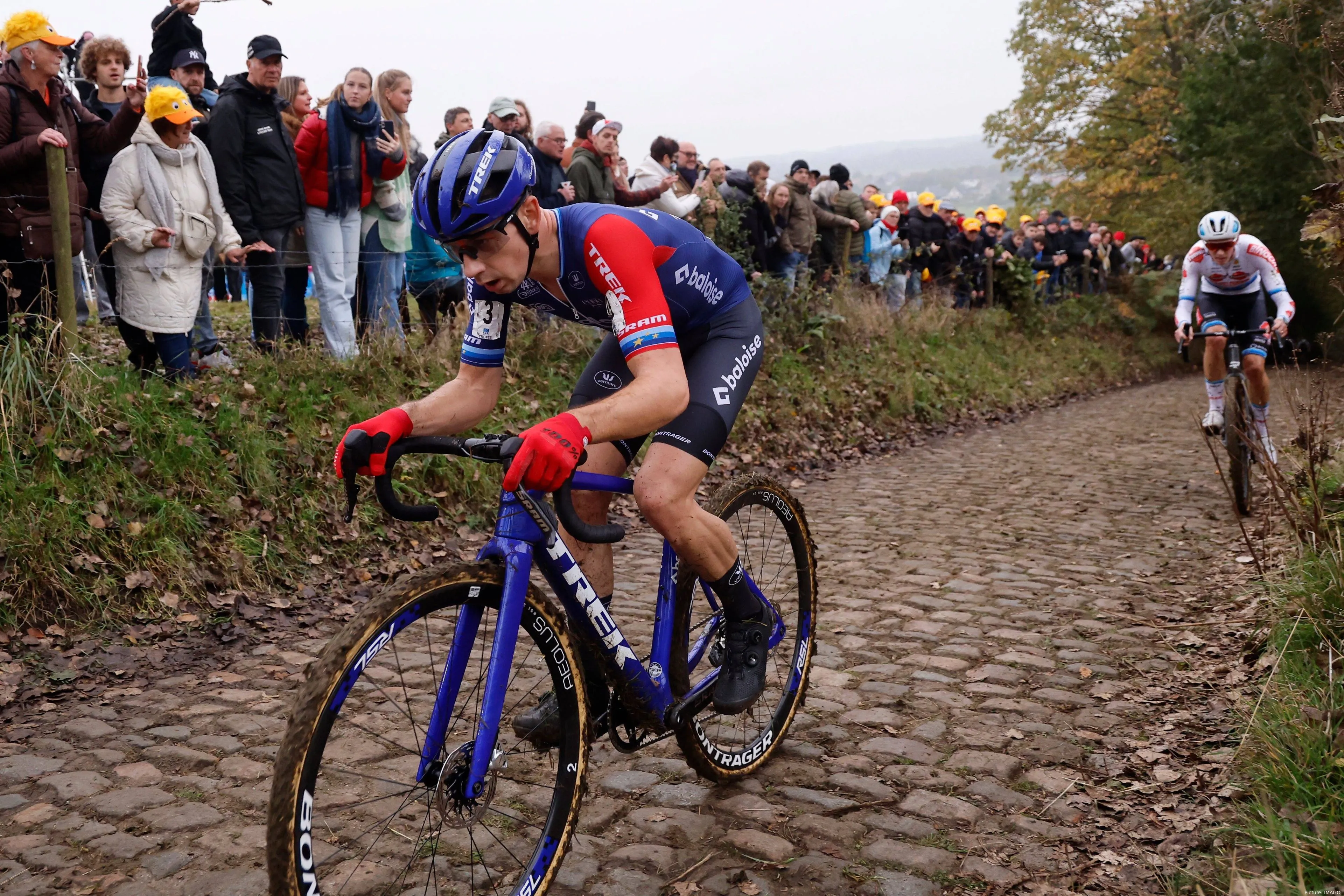 larsvanderhaar 2