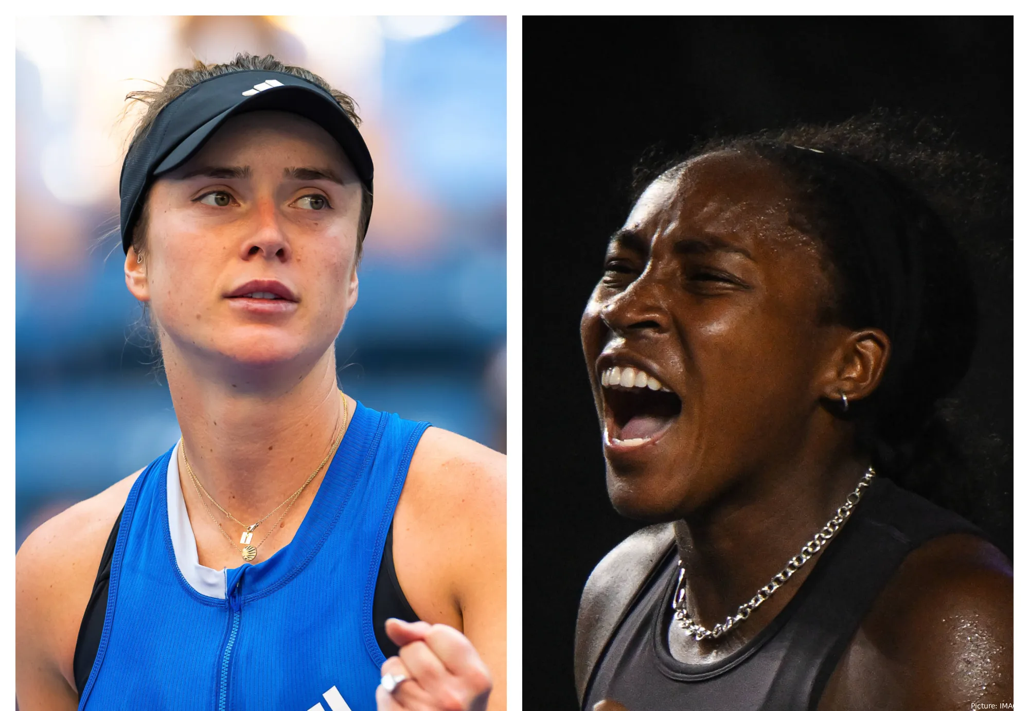 svitgauff