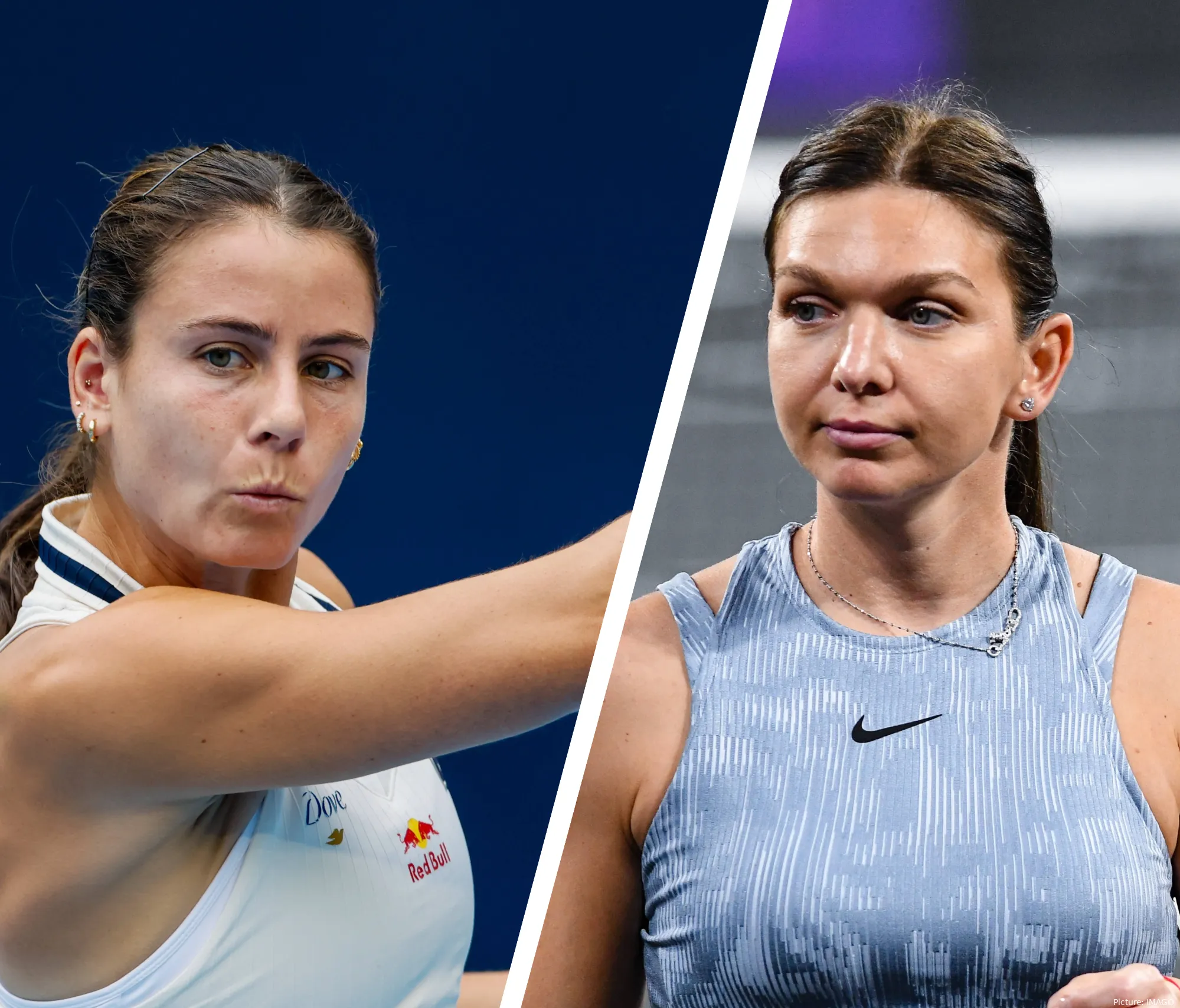 navarrohalep