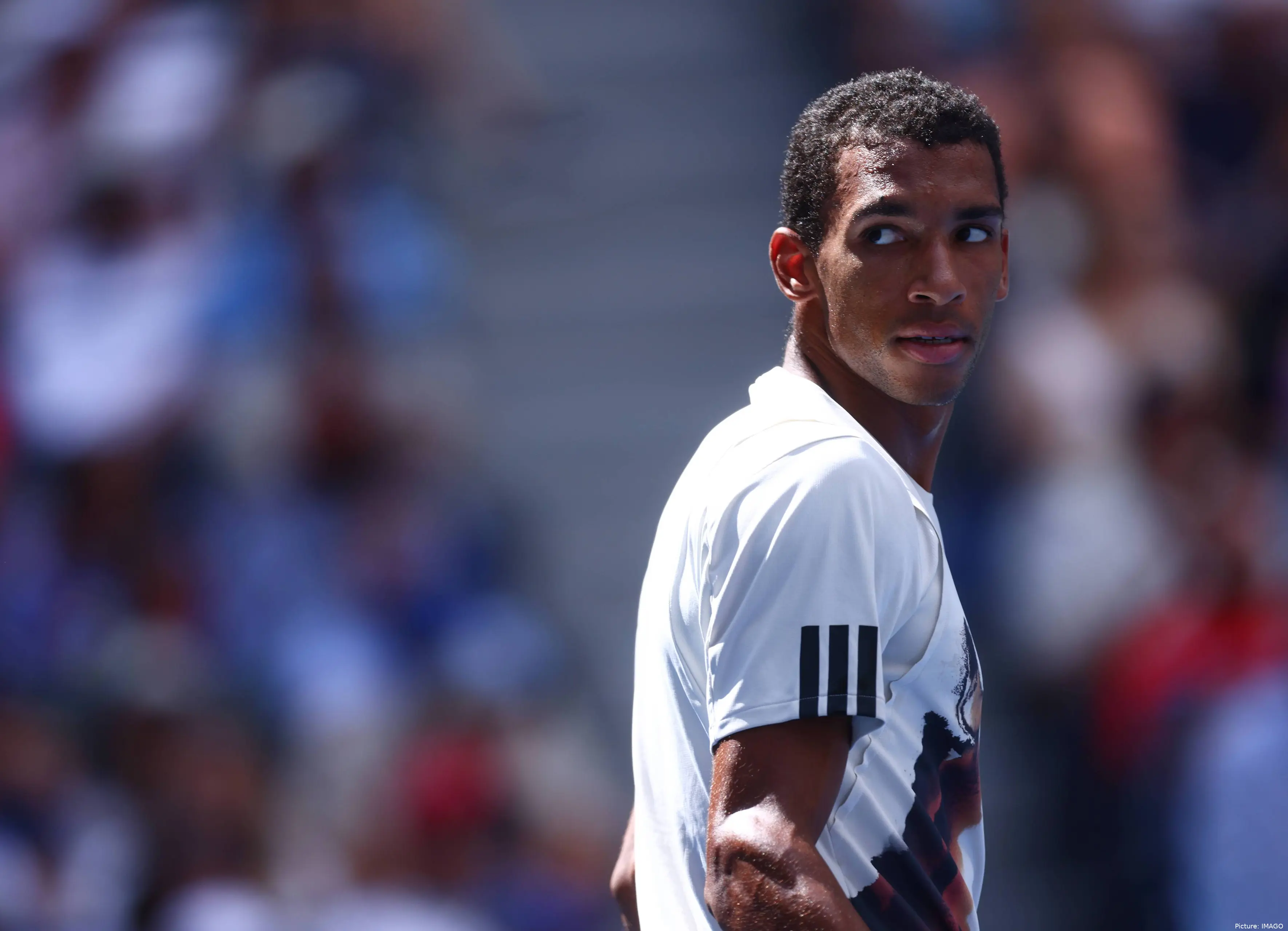augeraliassimeusopen