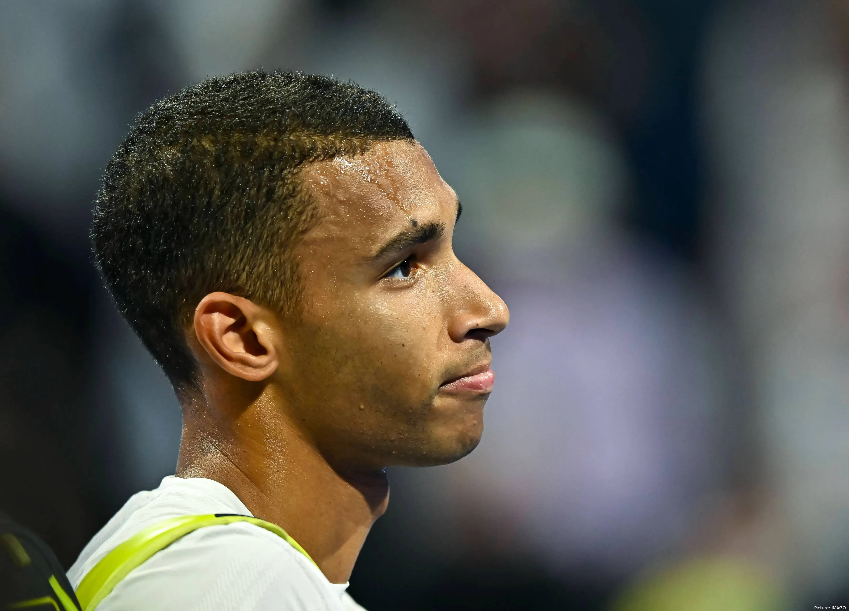 felixaugeraliassimeimago1059091877