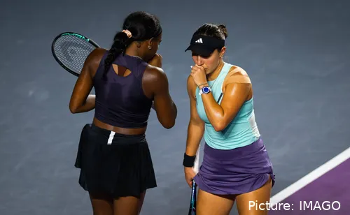 gauffpegula imago1036455216h