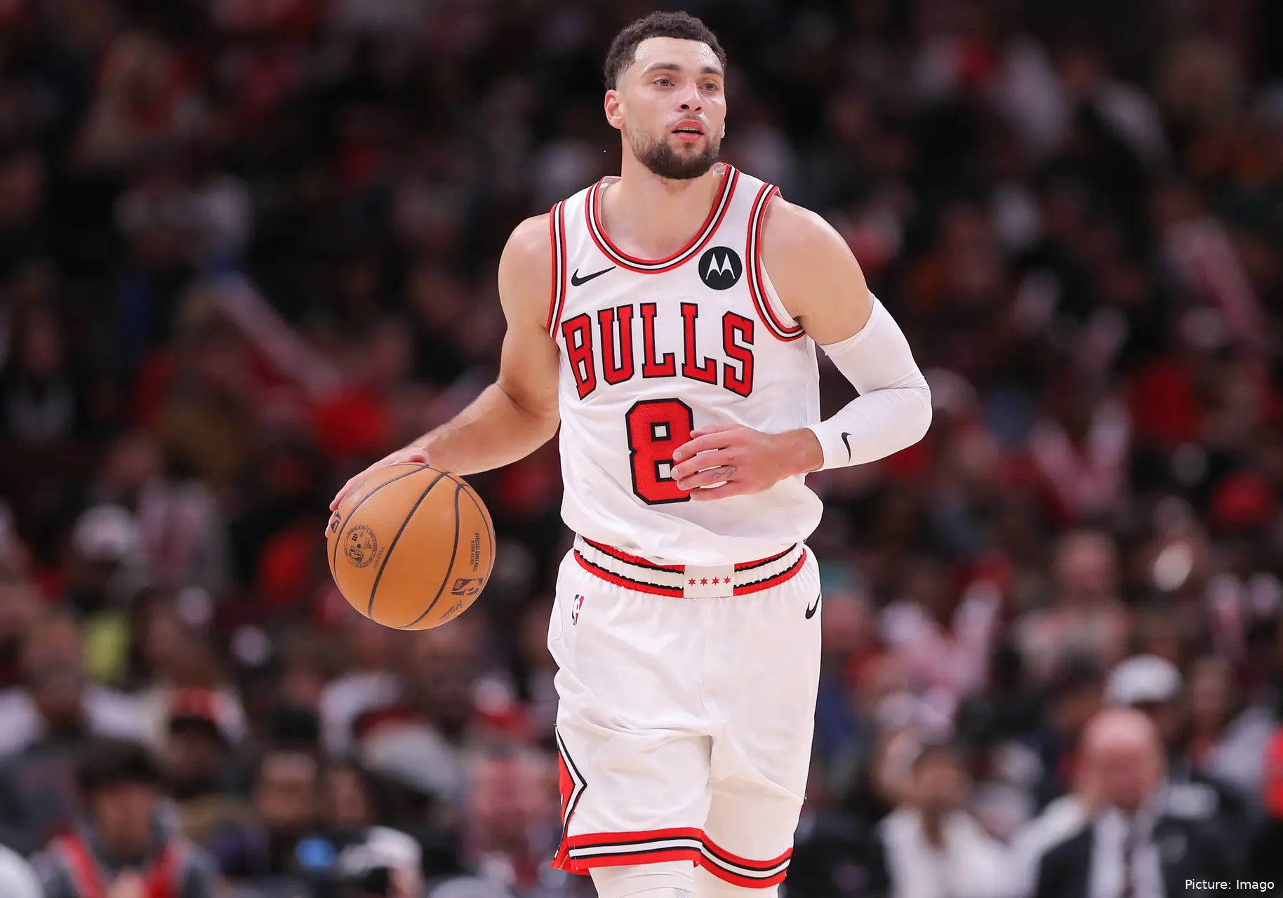 zach lavine bulls
