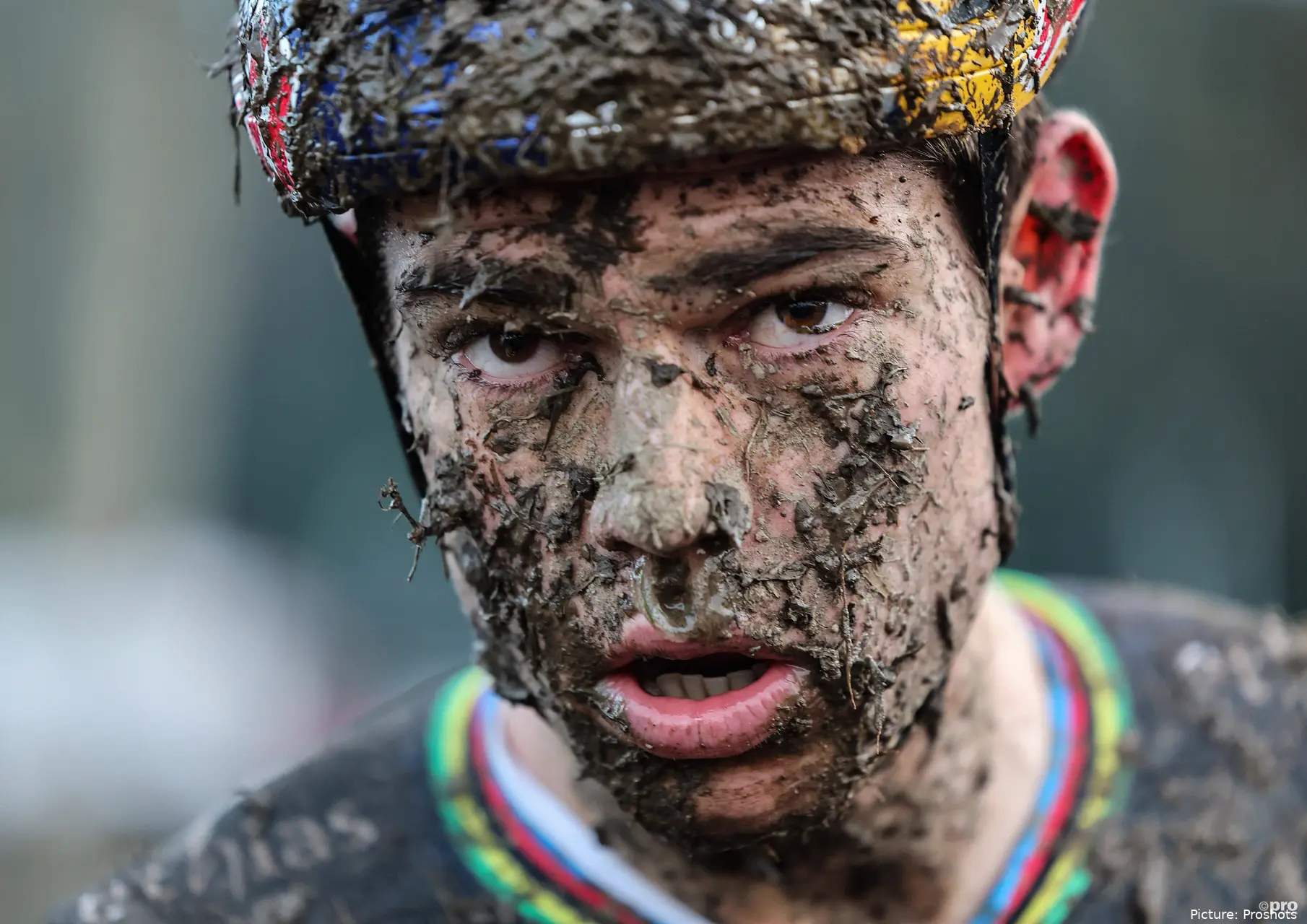 copyright proshots 19490760