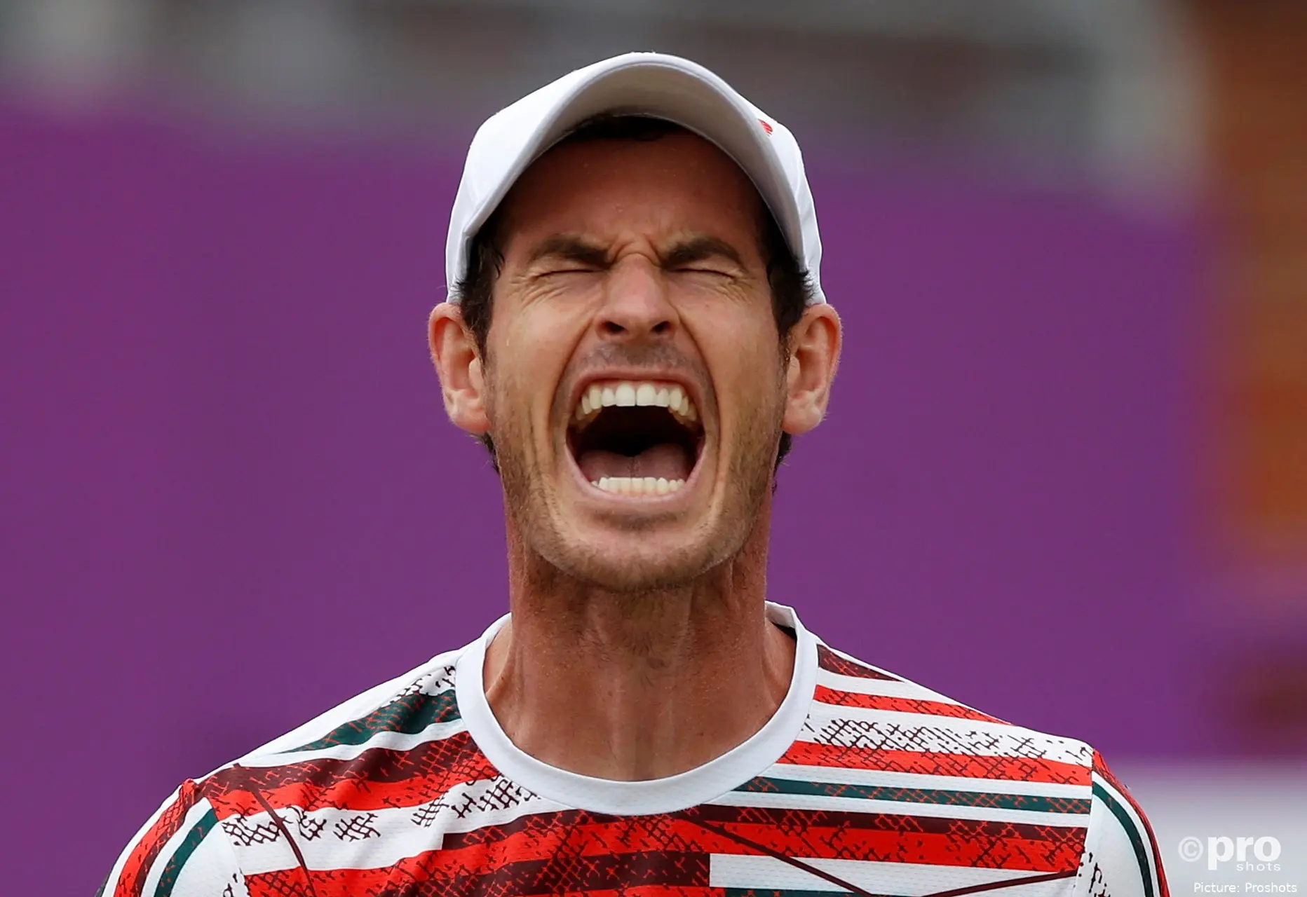 Bild Andy Murray; Kopf, Augen geschlossem, Mund zum Schrei geöffnet<br>