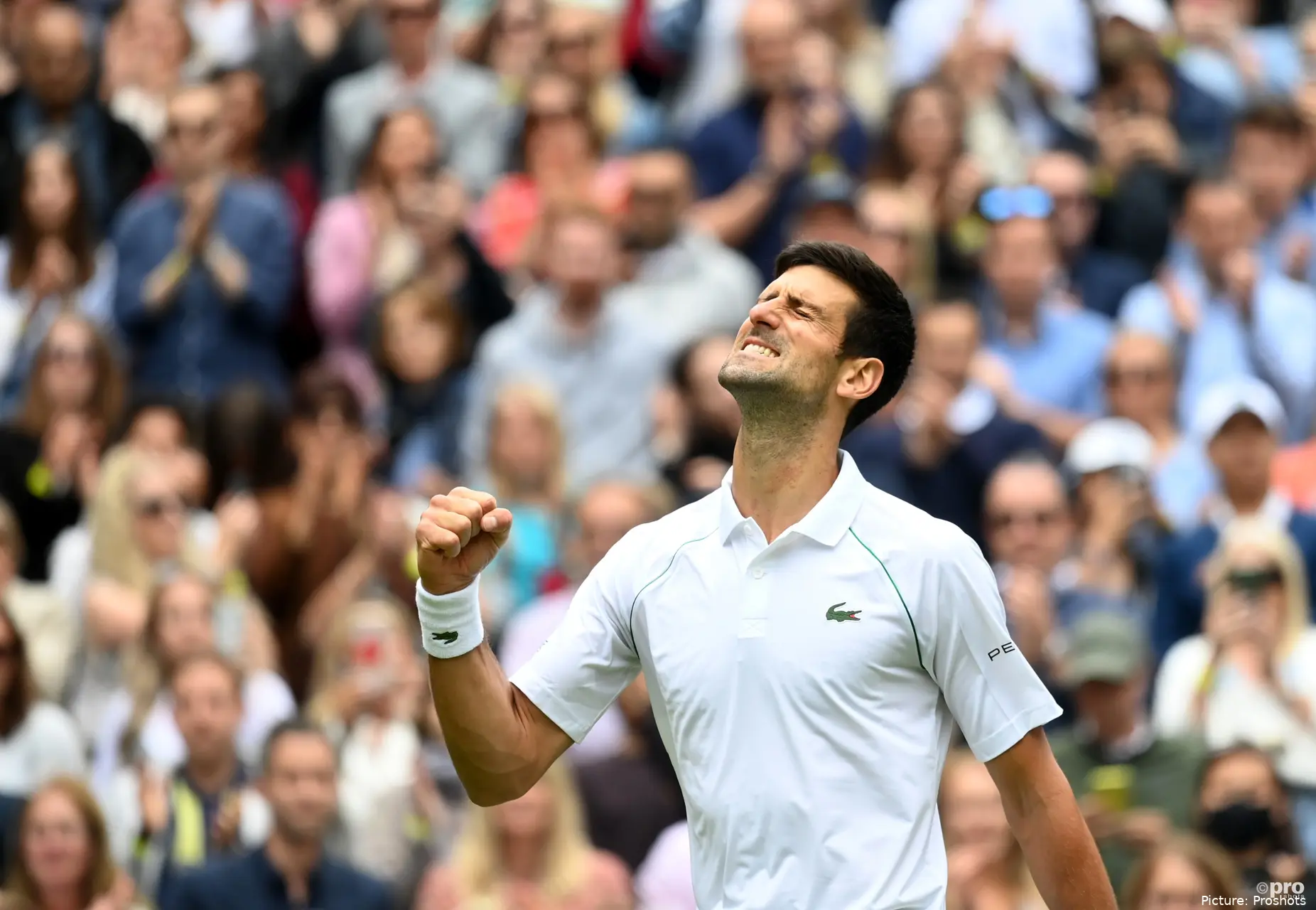 djokovic wimbledon 2021
