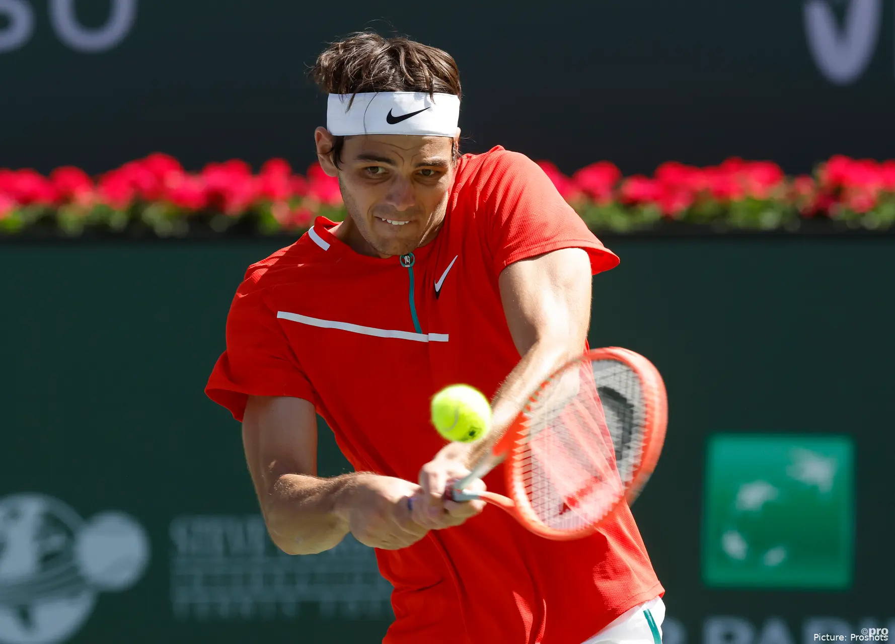 Fritz 1 BNPPO
