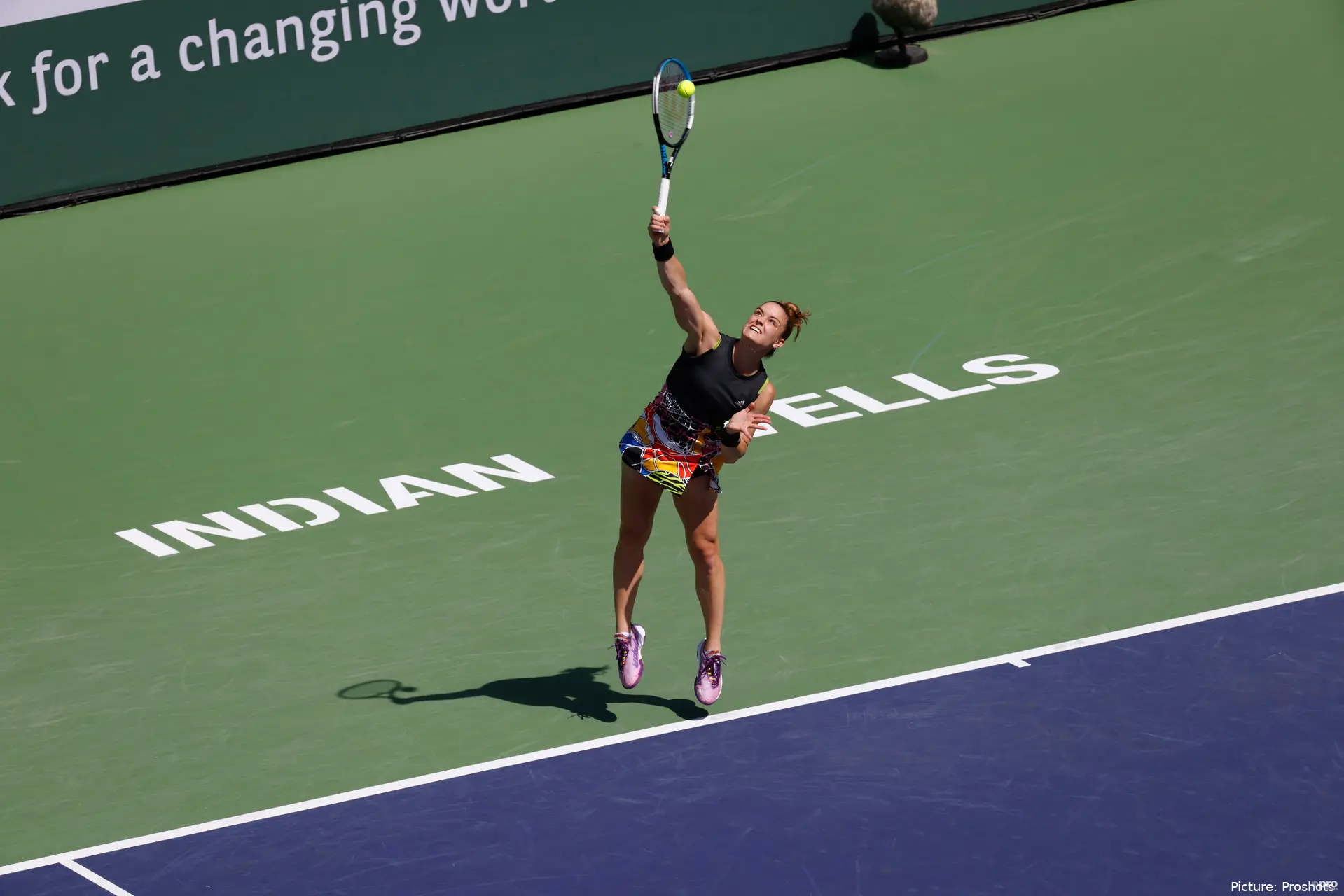 Sakkari BNPPO 2