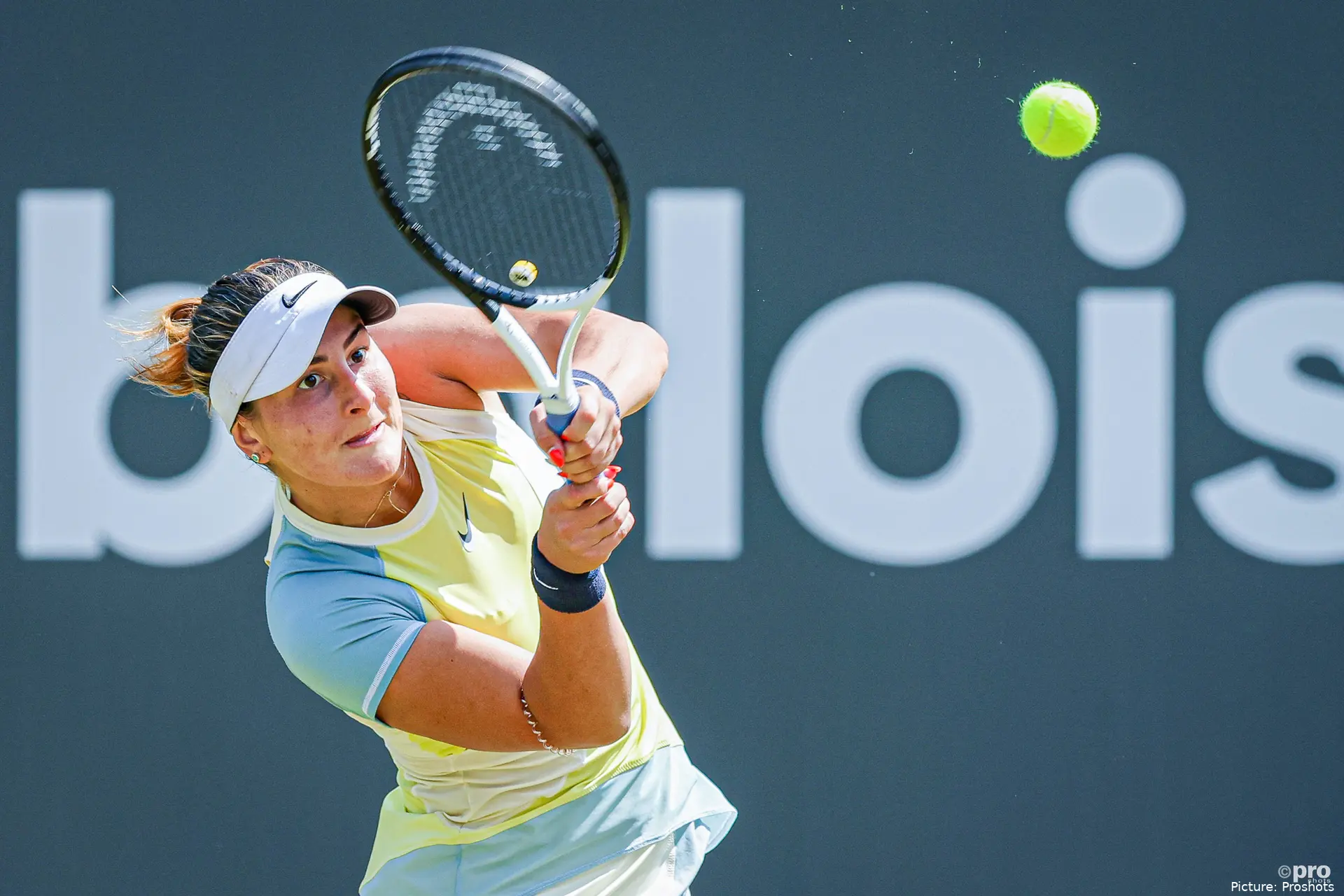 Andreescu Bad Homburg