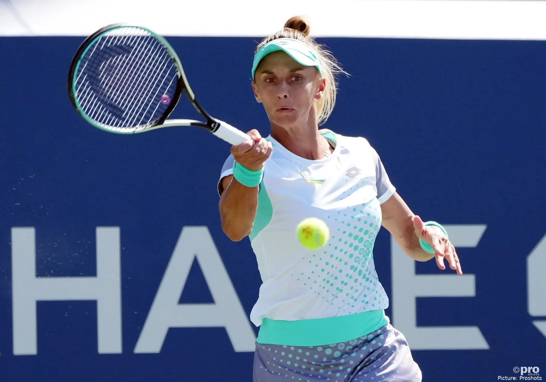 copyright proshots 18030833