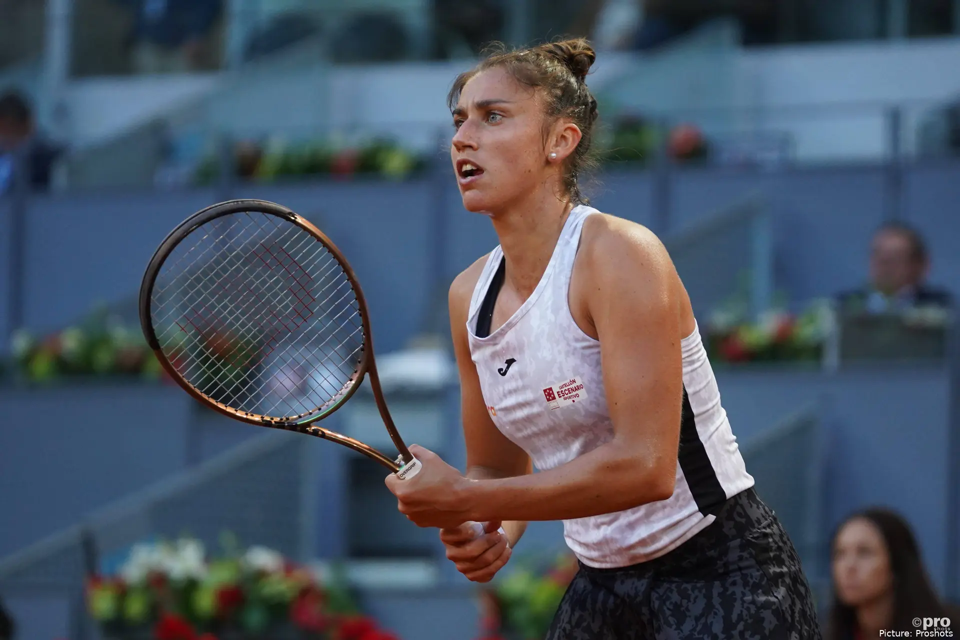 Sorribes Tormo Madrid