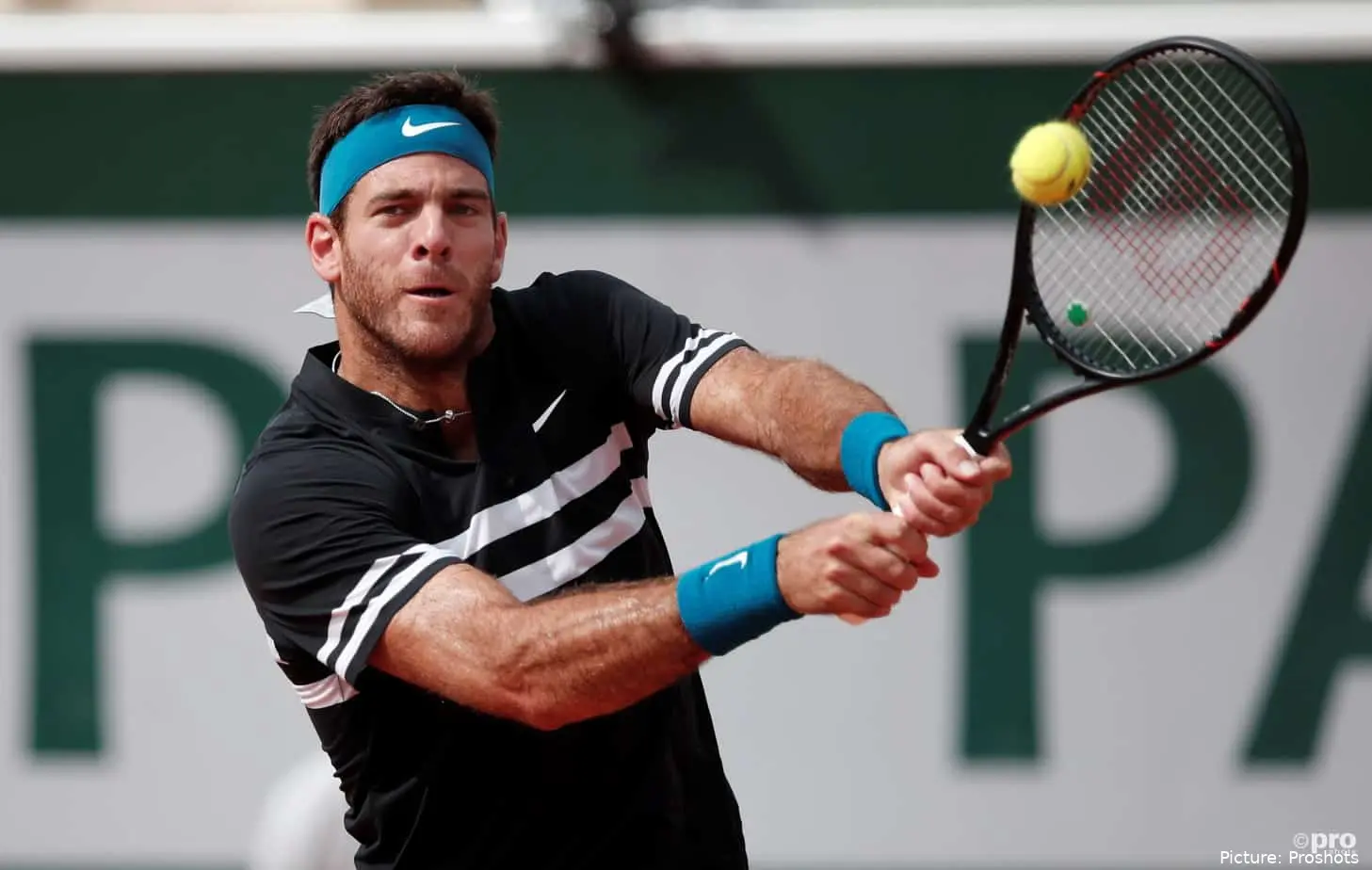 DelPotro JuanMartin RolandGarros2018
