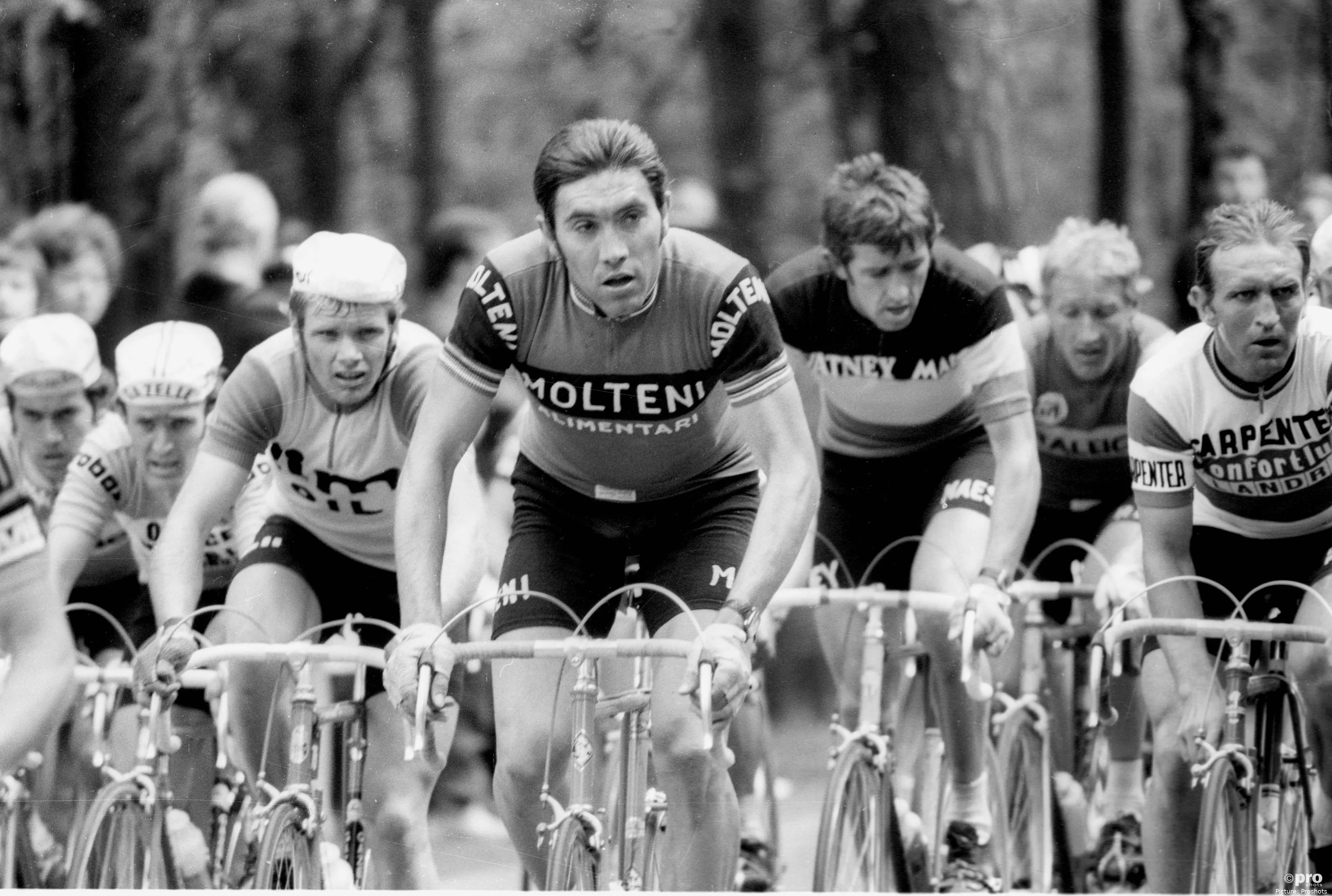 'Pelea' por el GOAT del ciclismo mundial entre Eddy Merckx y Tadej Pogacar