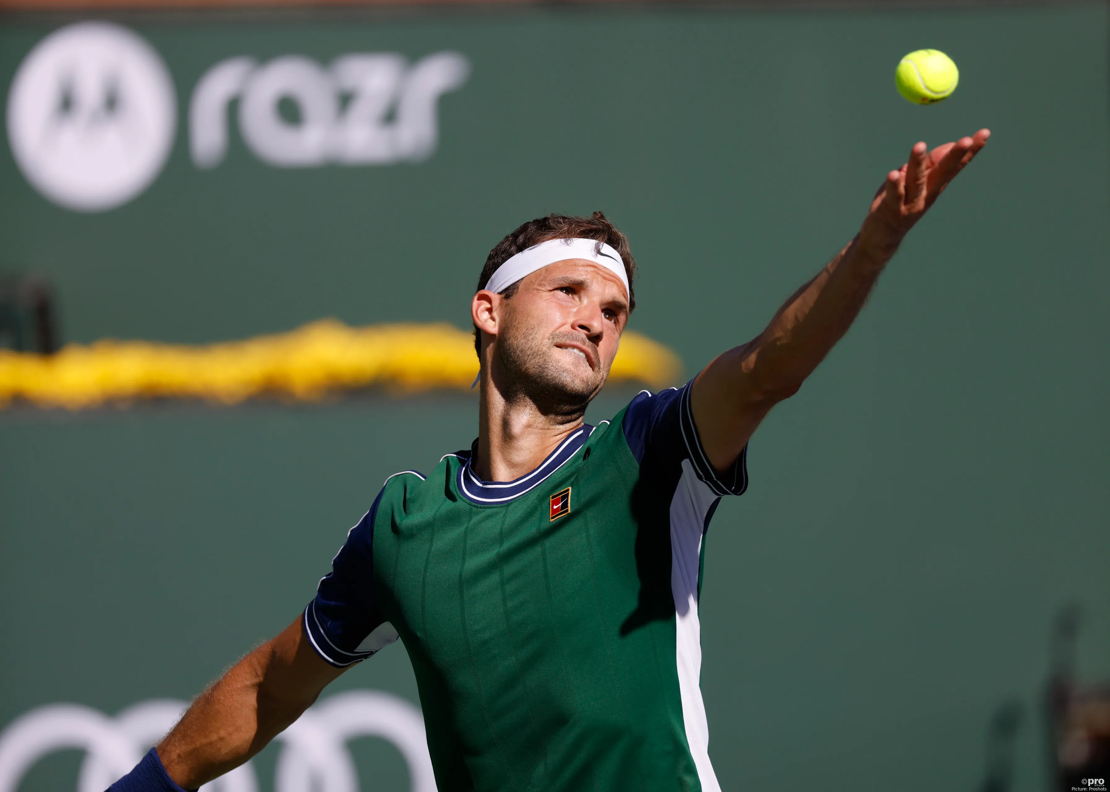 dimitrov bnppo 2