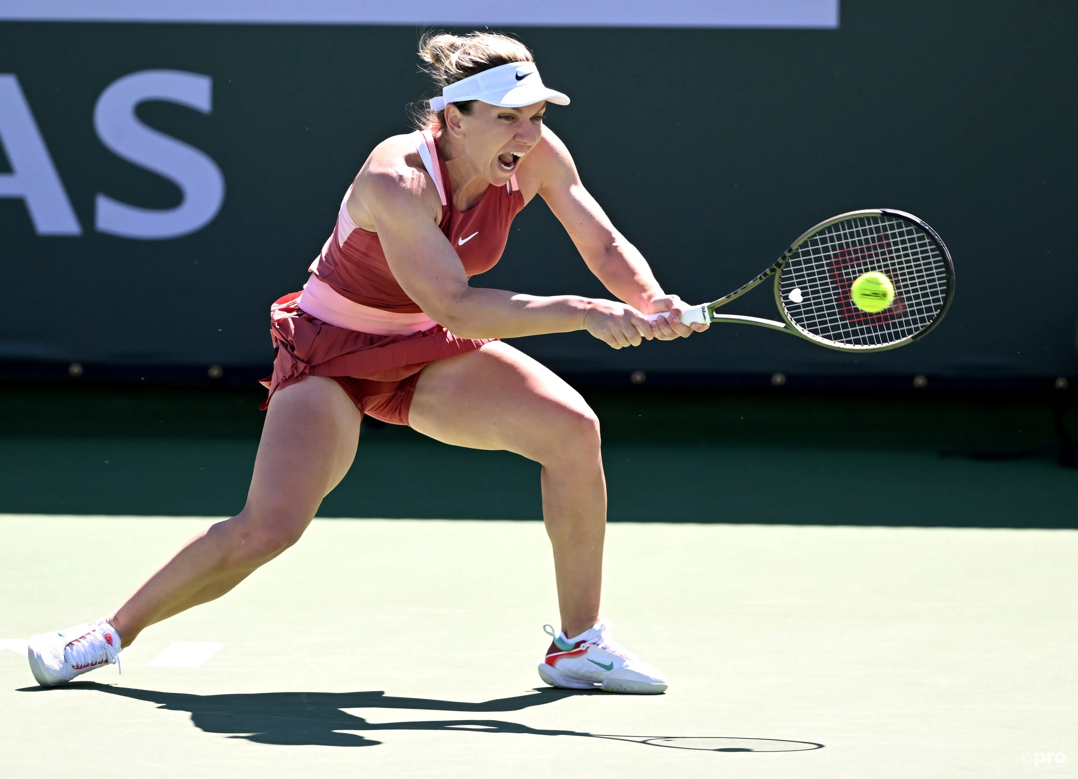 Halep BNPPO