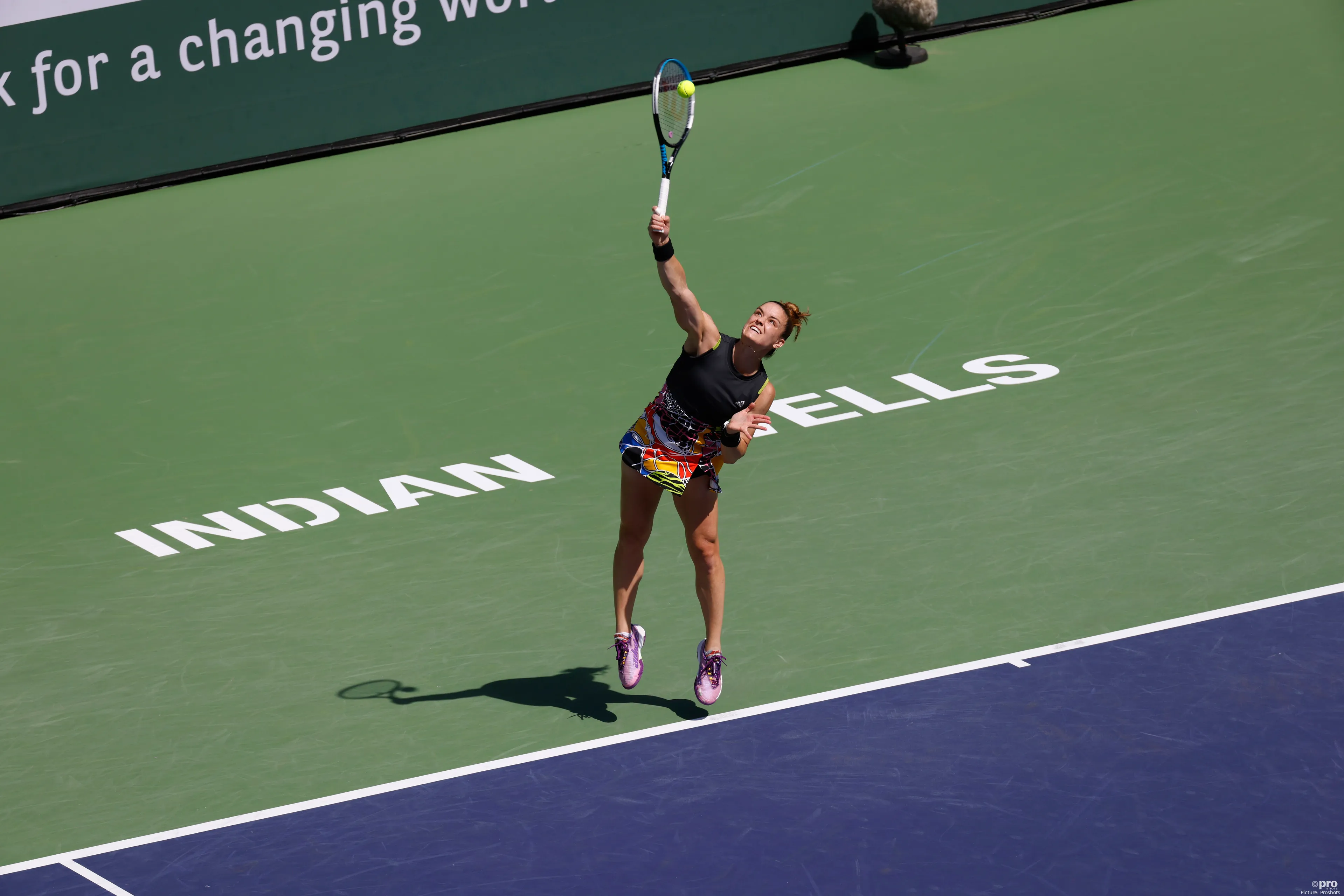 Sakkari BNPPO 2