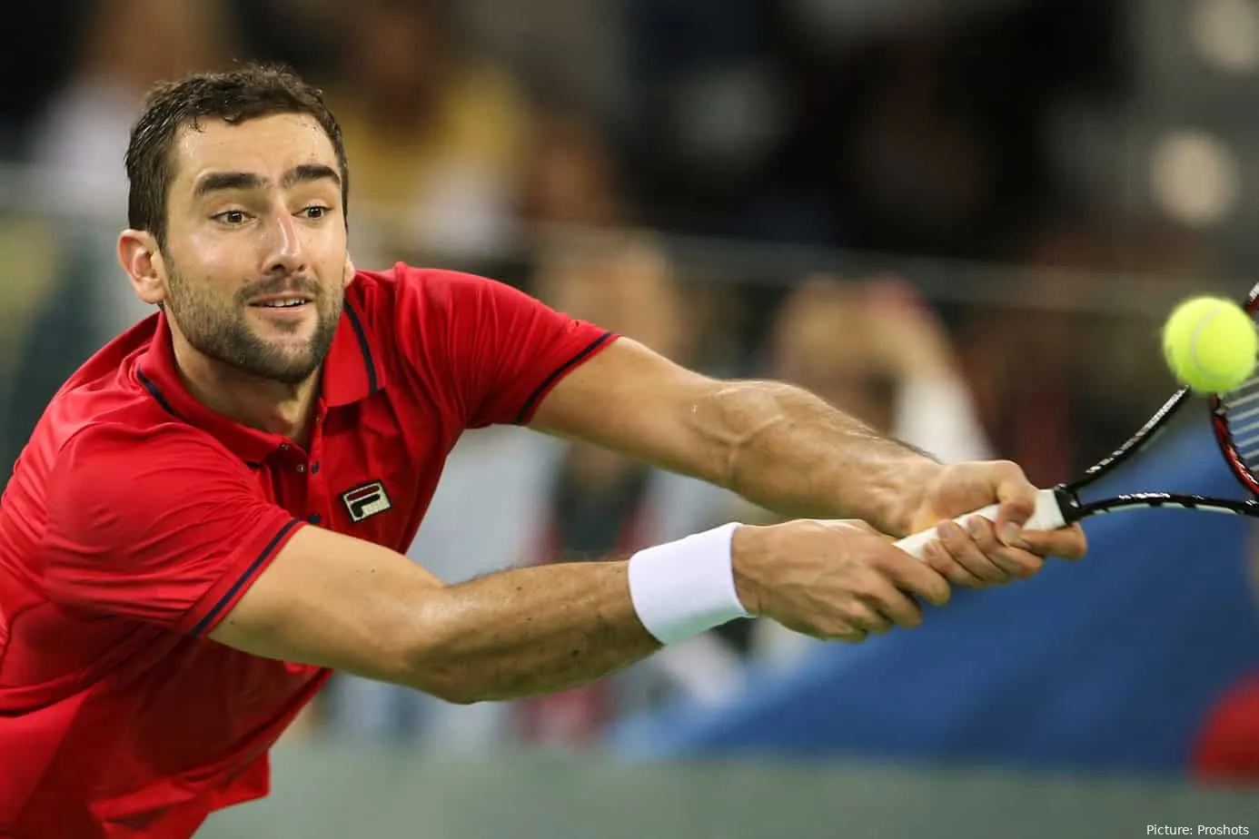 Cilic Marin DavisCupFinale2016