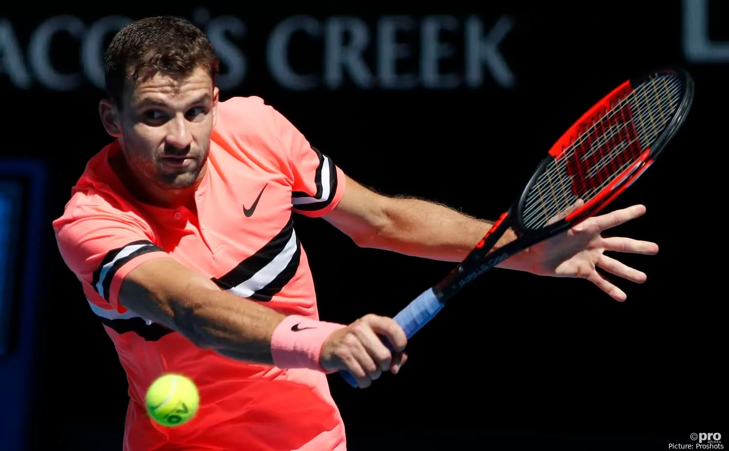 Dimitrov Grigor AustralianOpen2018