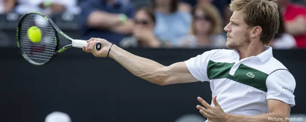 Goffin David Rosmalen2015