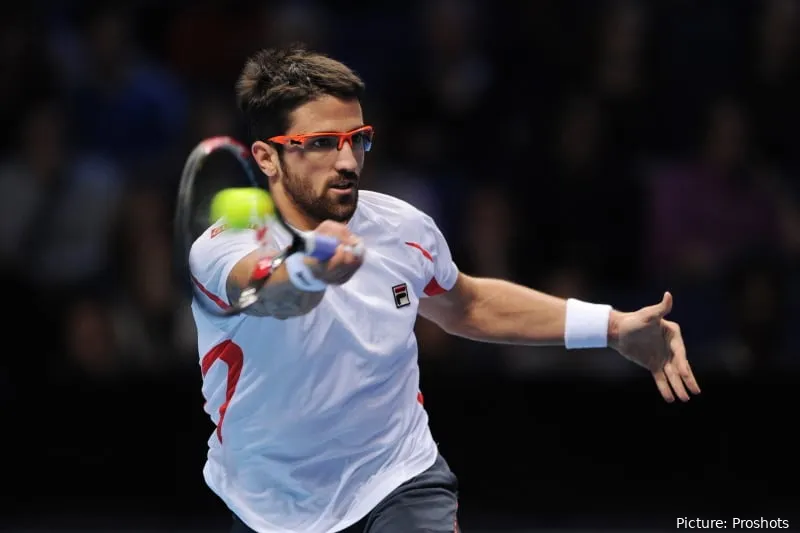 Tipsarevic2012