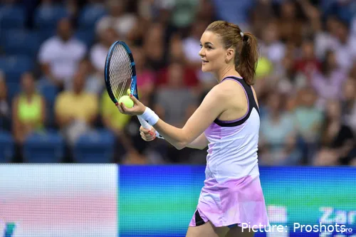 copyright proshots 17530898