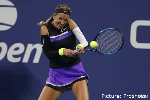 Copyright ProShots 4206950 scaled