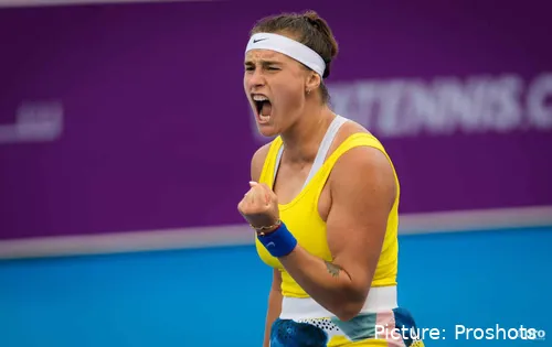 Copyright ProShots 7102712 scaled