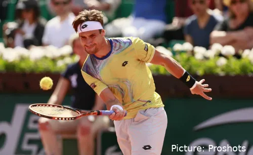 David Ferrer<br>