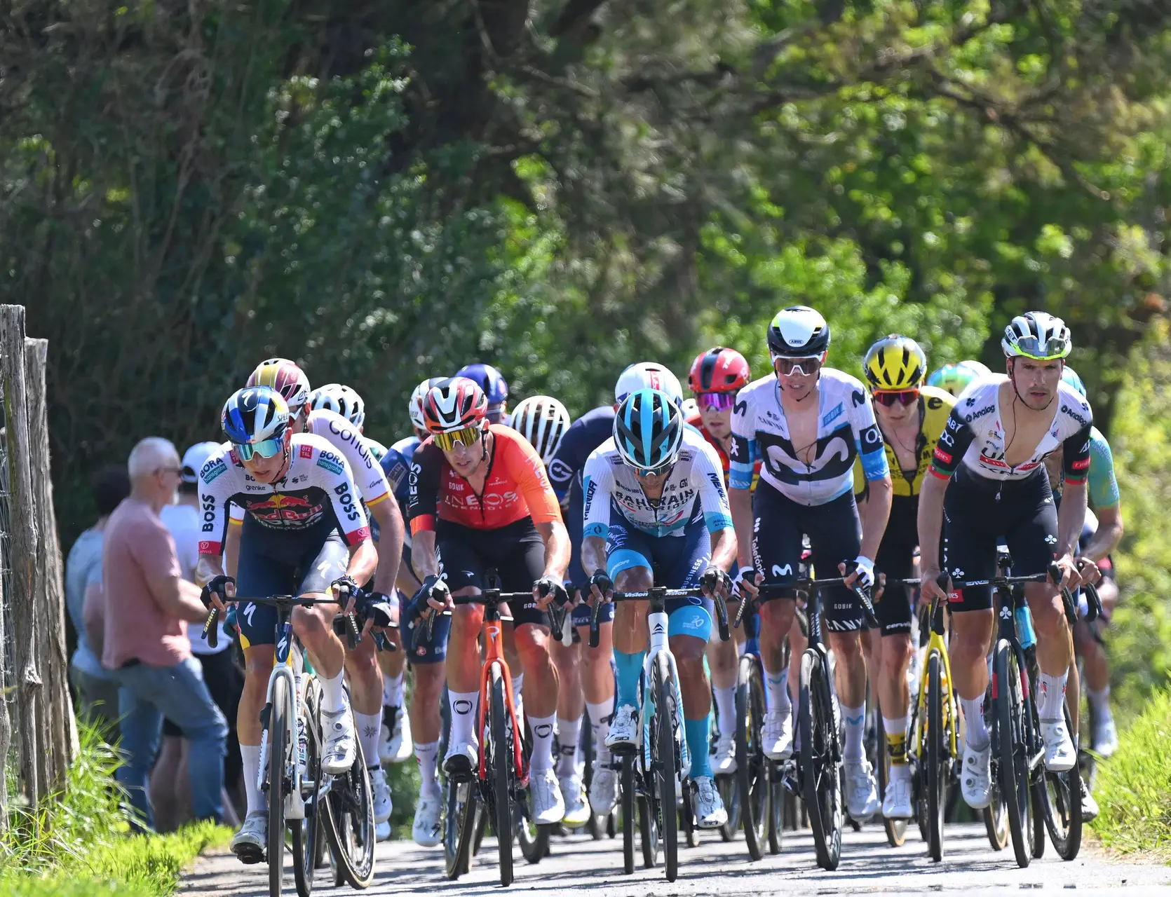 itzulia