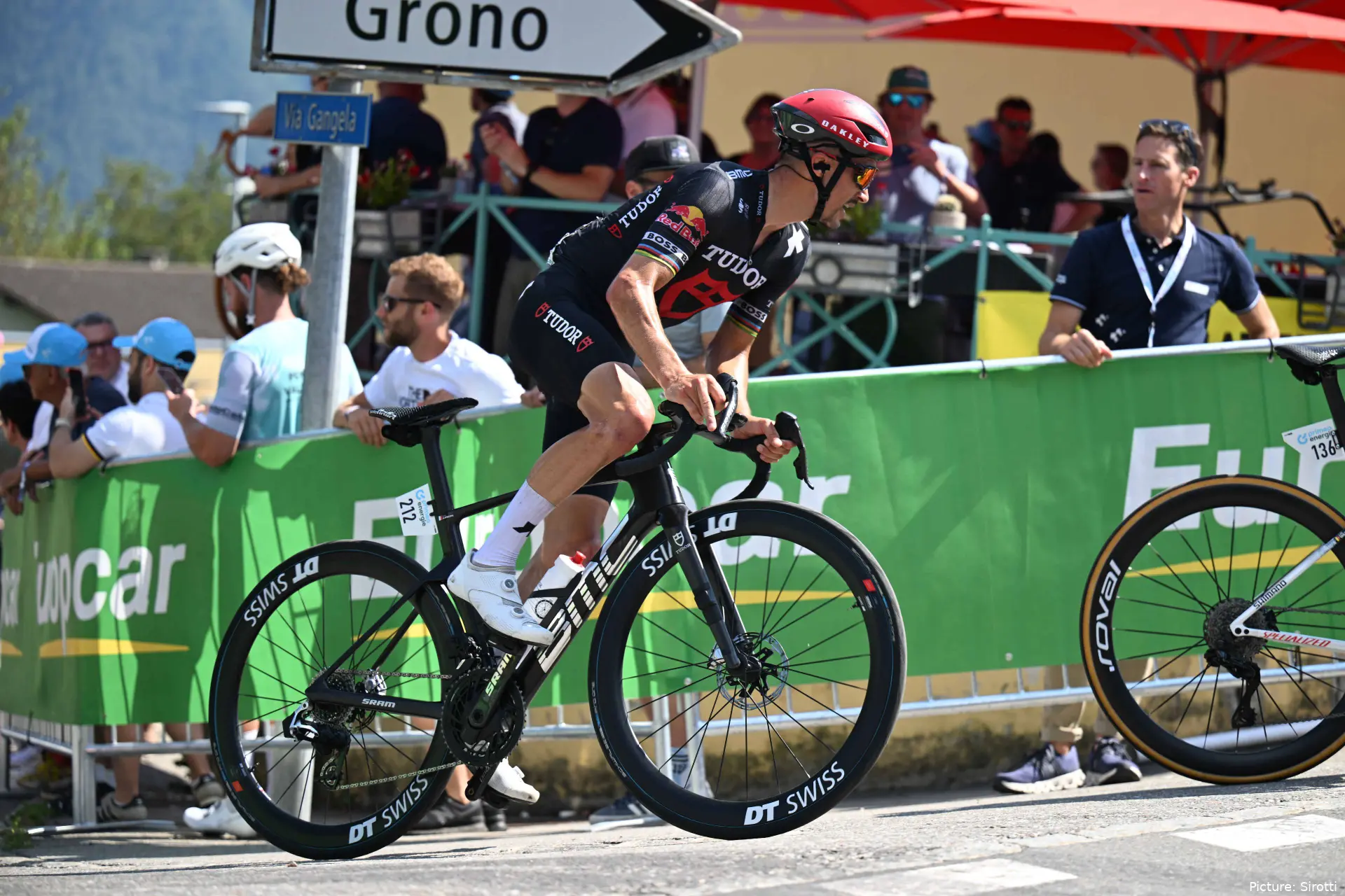 alaphilippe 1223072141