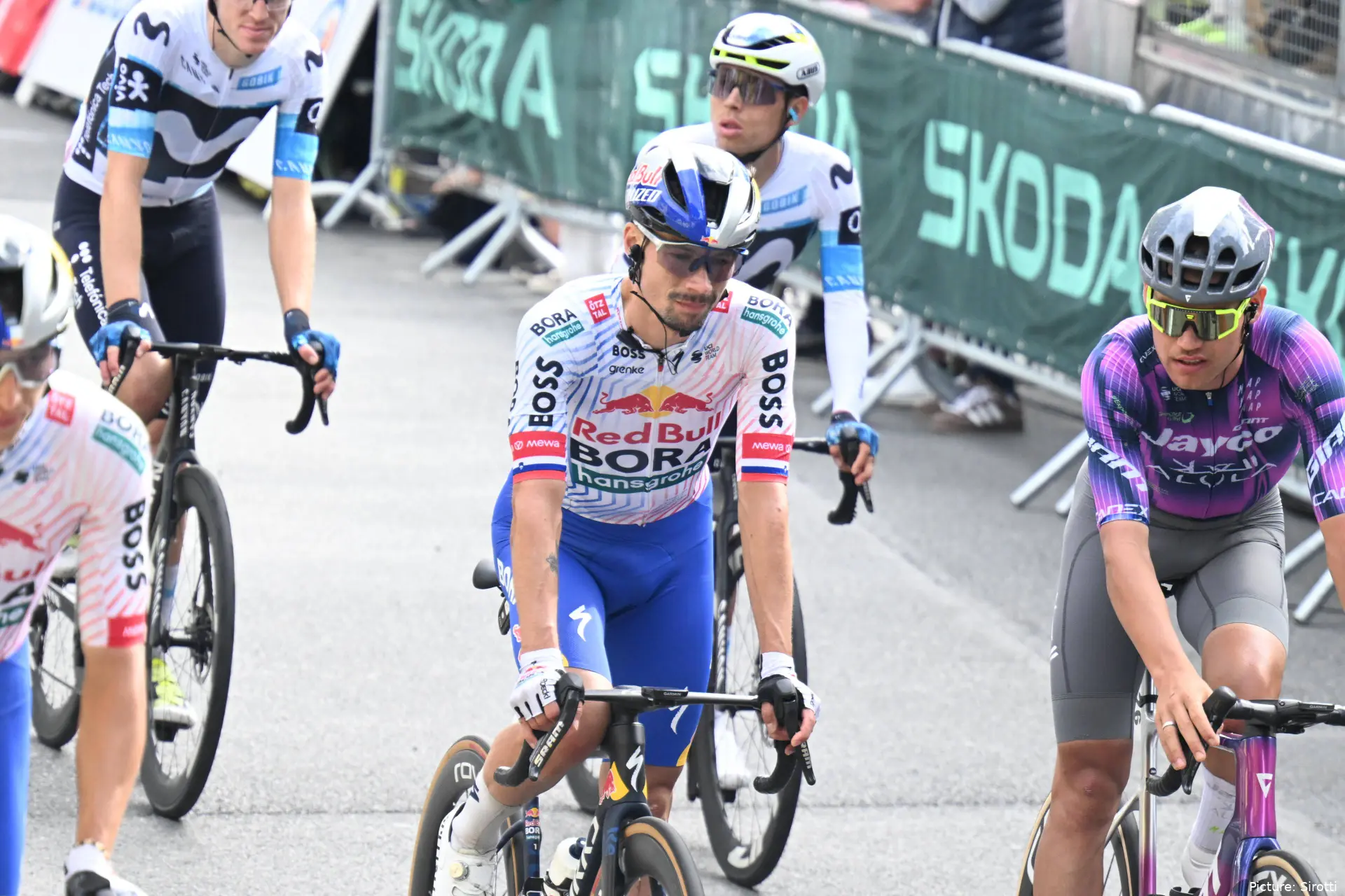 roglic
