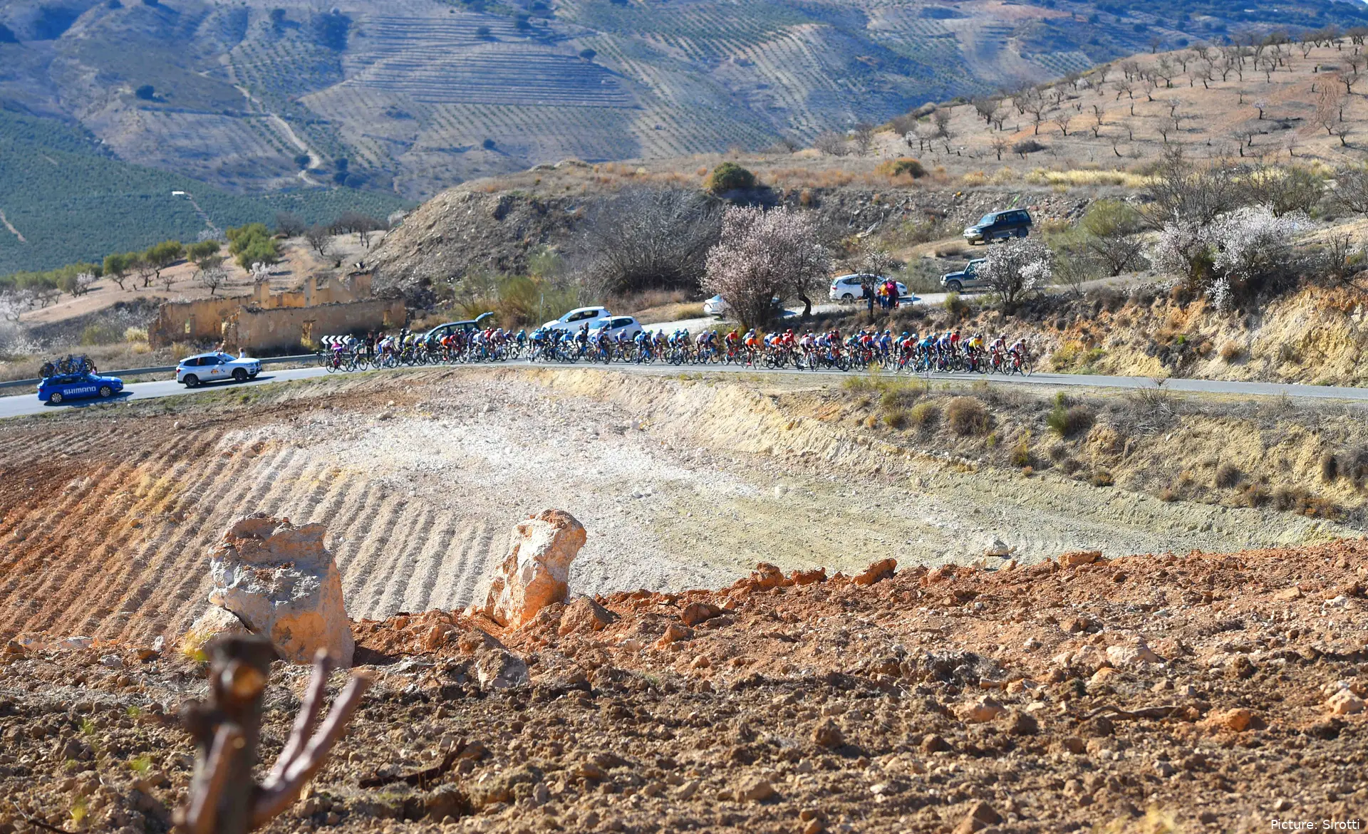 panorama tda 2022